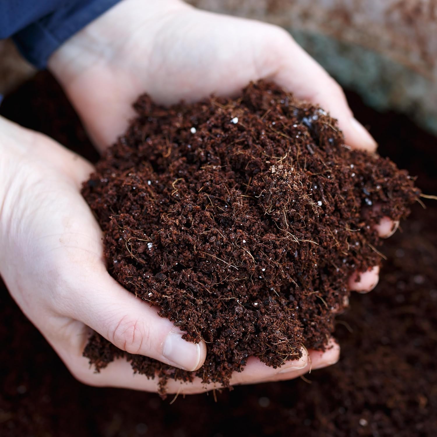 Coir Potting Soil Discs – 2.6L | Peat-Free Grow Medium (2 Pack)