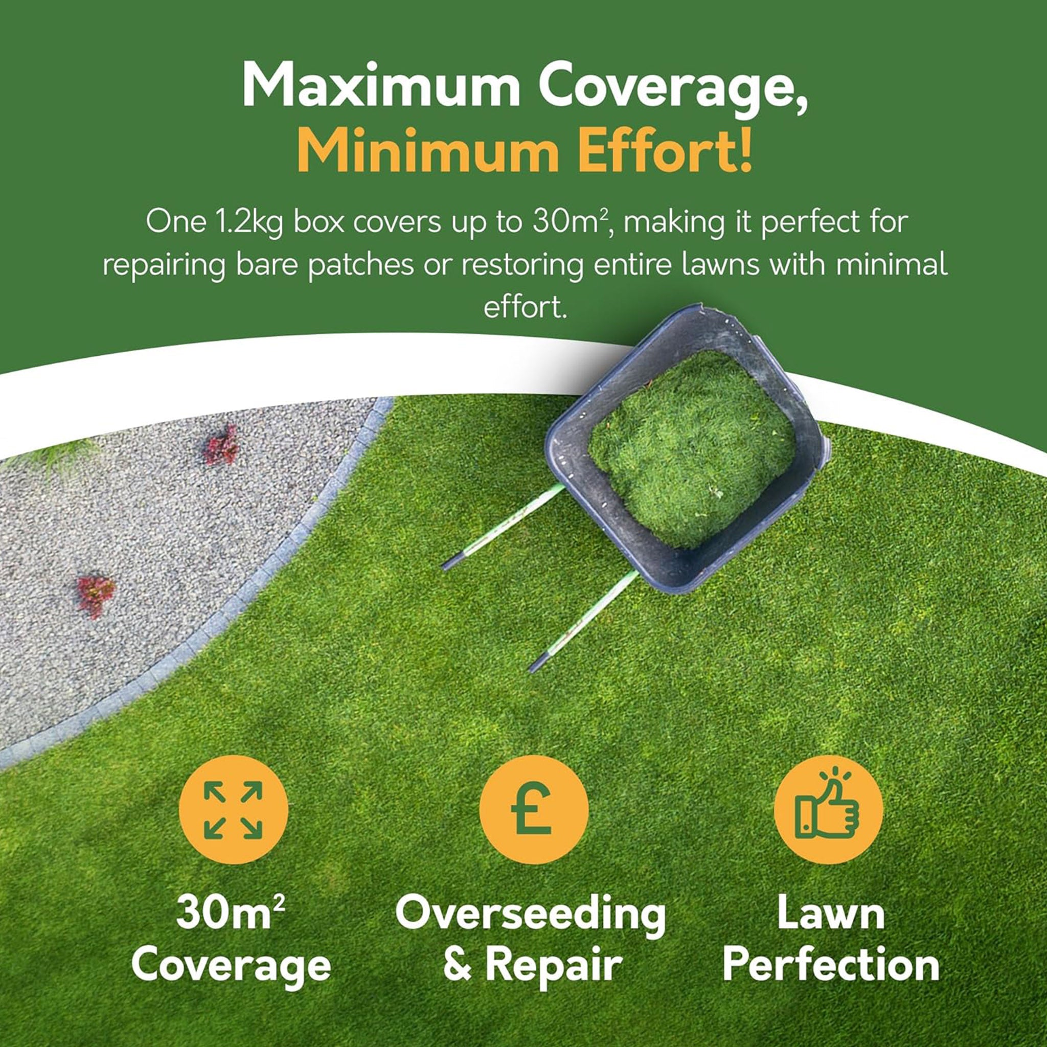 Plush Lawn Grass Seed & Feed – 2 x 1.2kg (Covers Up to 60m²) | Lawn Conditioner & Thickener