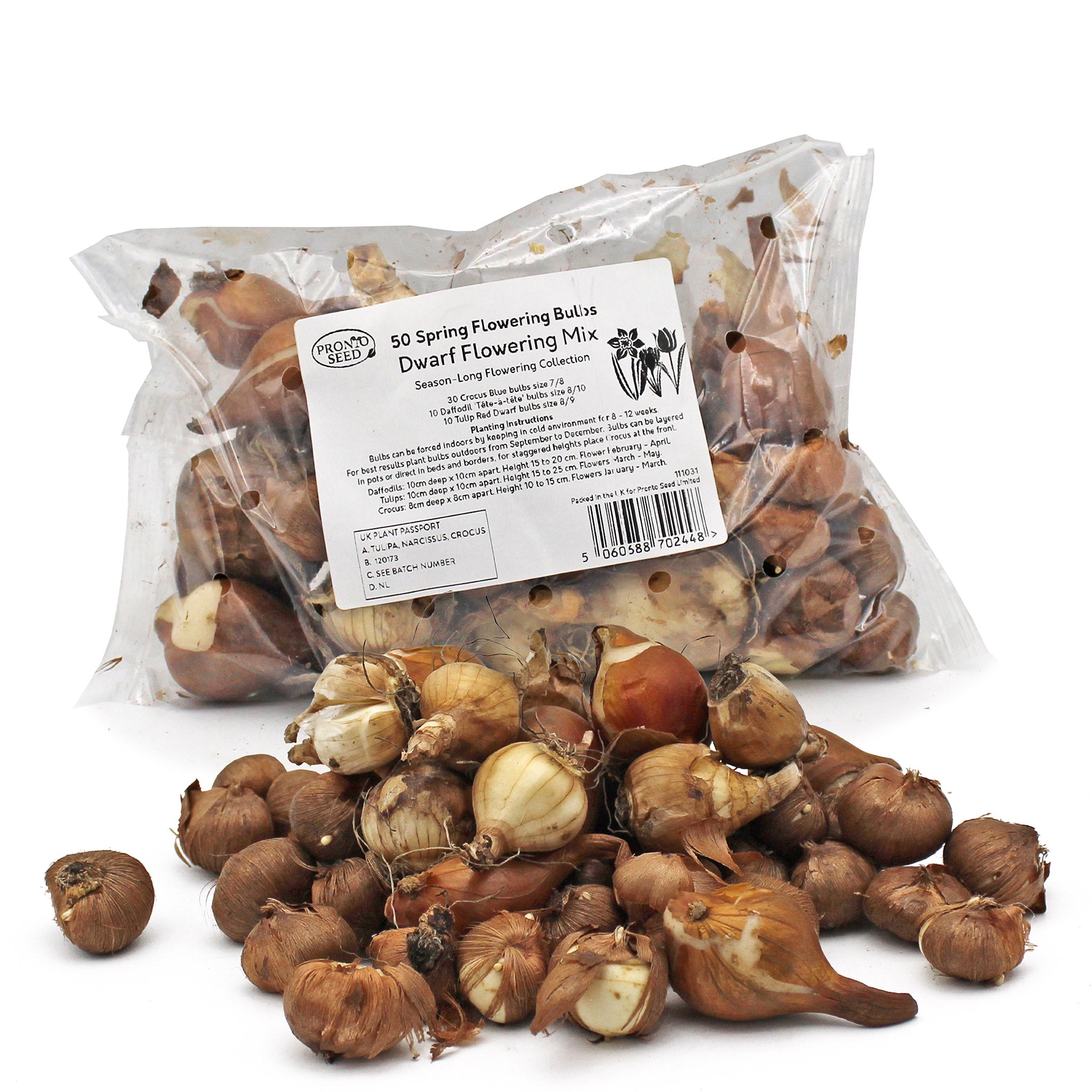 Spring Flower Bulb Mix – 50 Petite Daffodil, Tulip & Crocus Bulbs for Early Colour