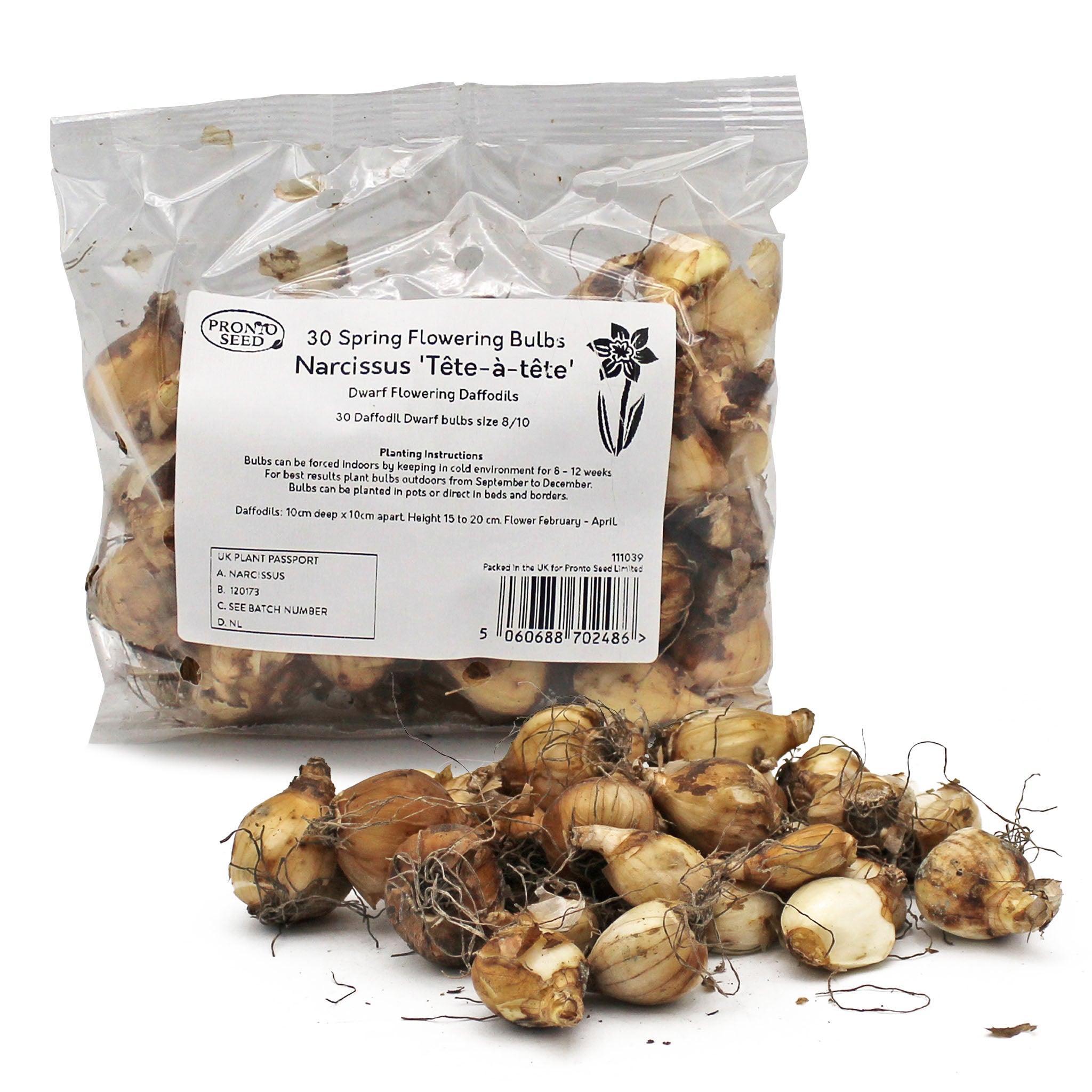 Daffodil Tête-à-Tête Bulbs – 30 Dwarf Spring Flowering Bulbs