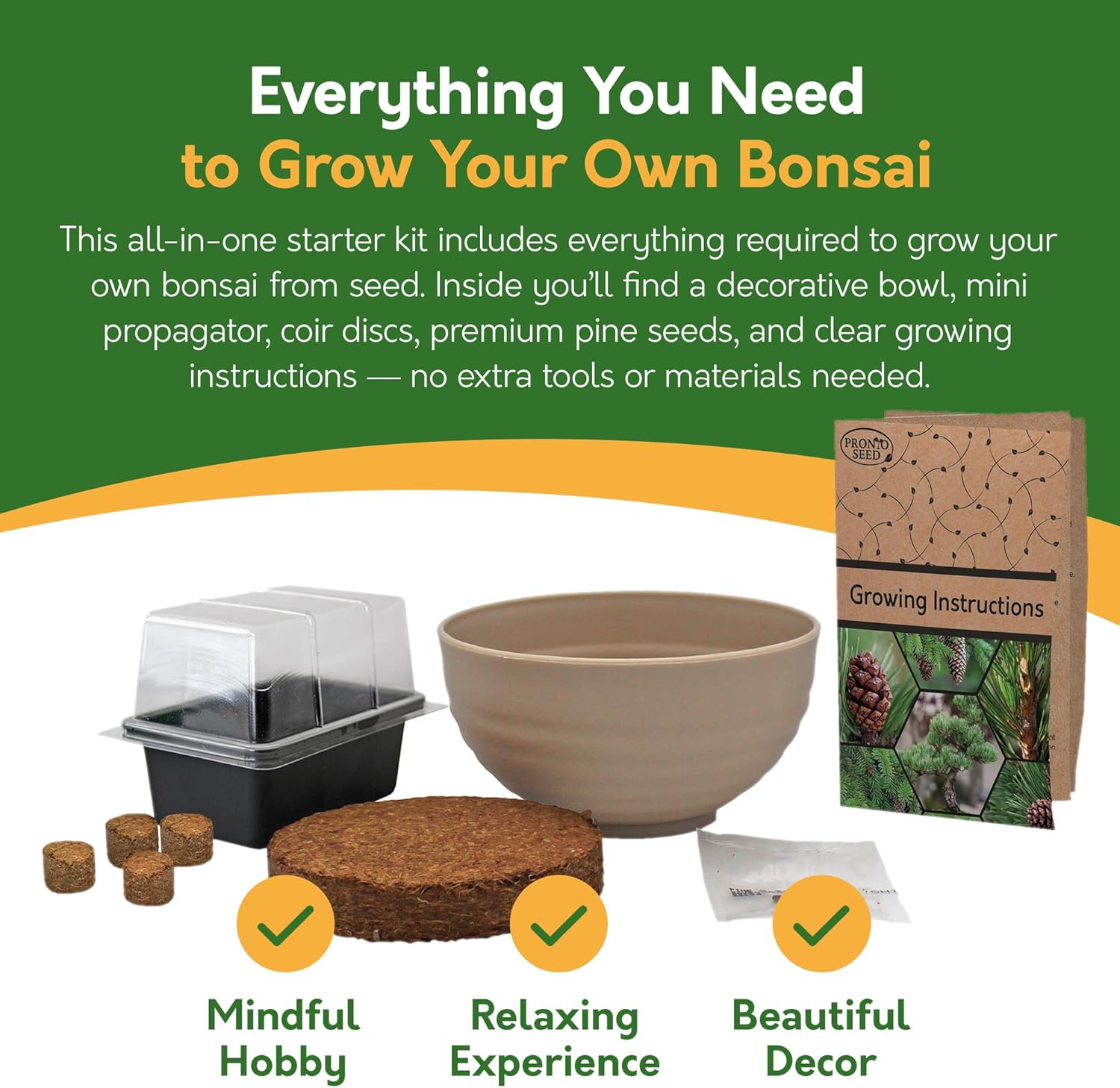 Bonsai Tree Kit – Grow Your Own Jerusalem Pine (Pinus halepensis)
