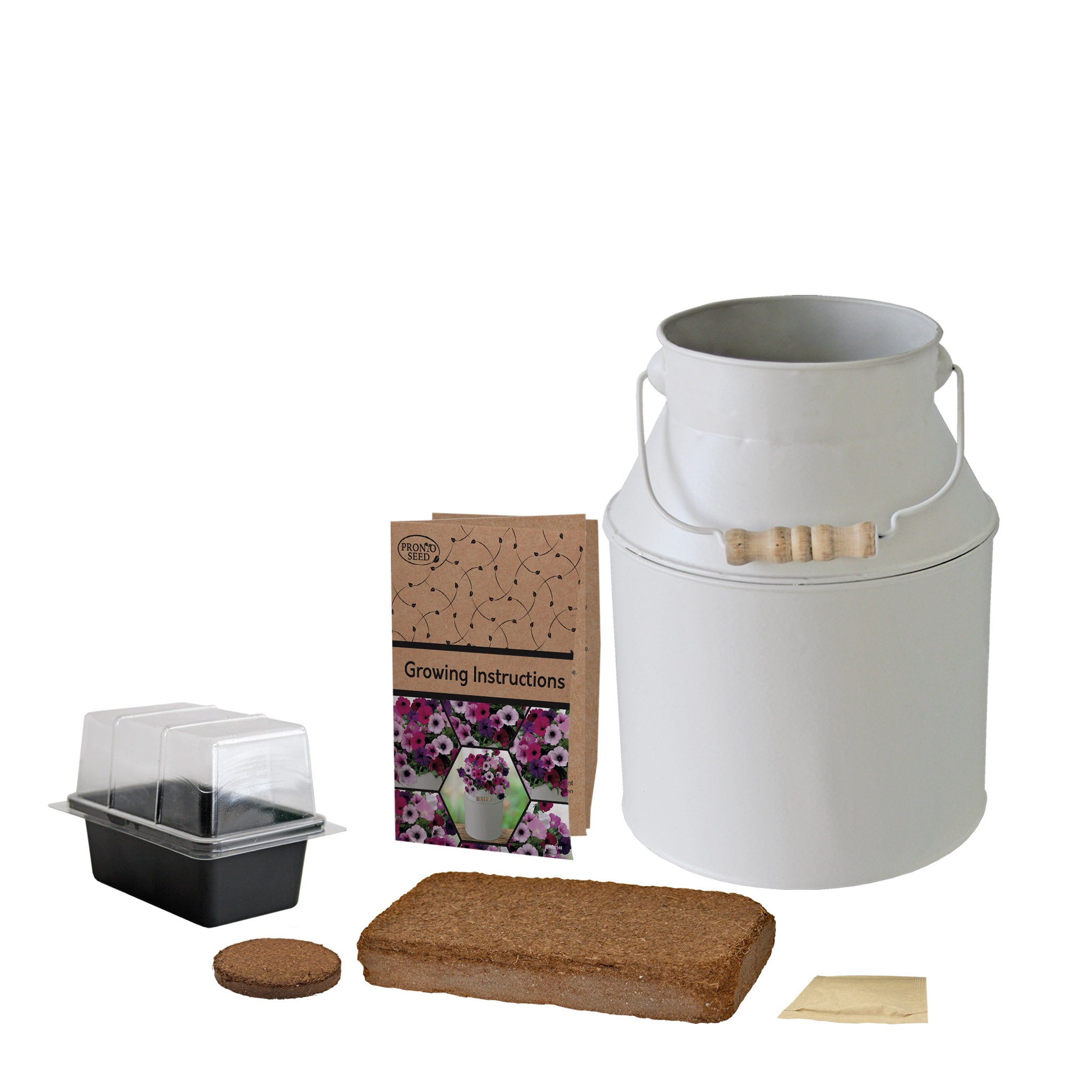 Petunia Grow Kit in Milk Churn – Flower Gift Set