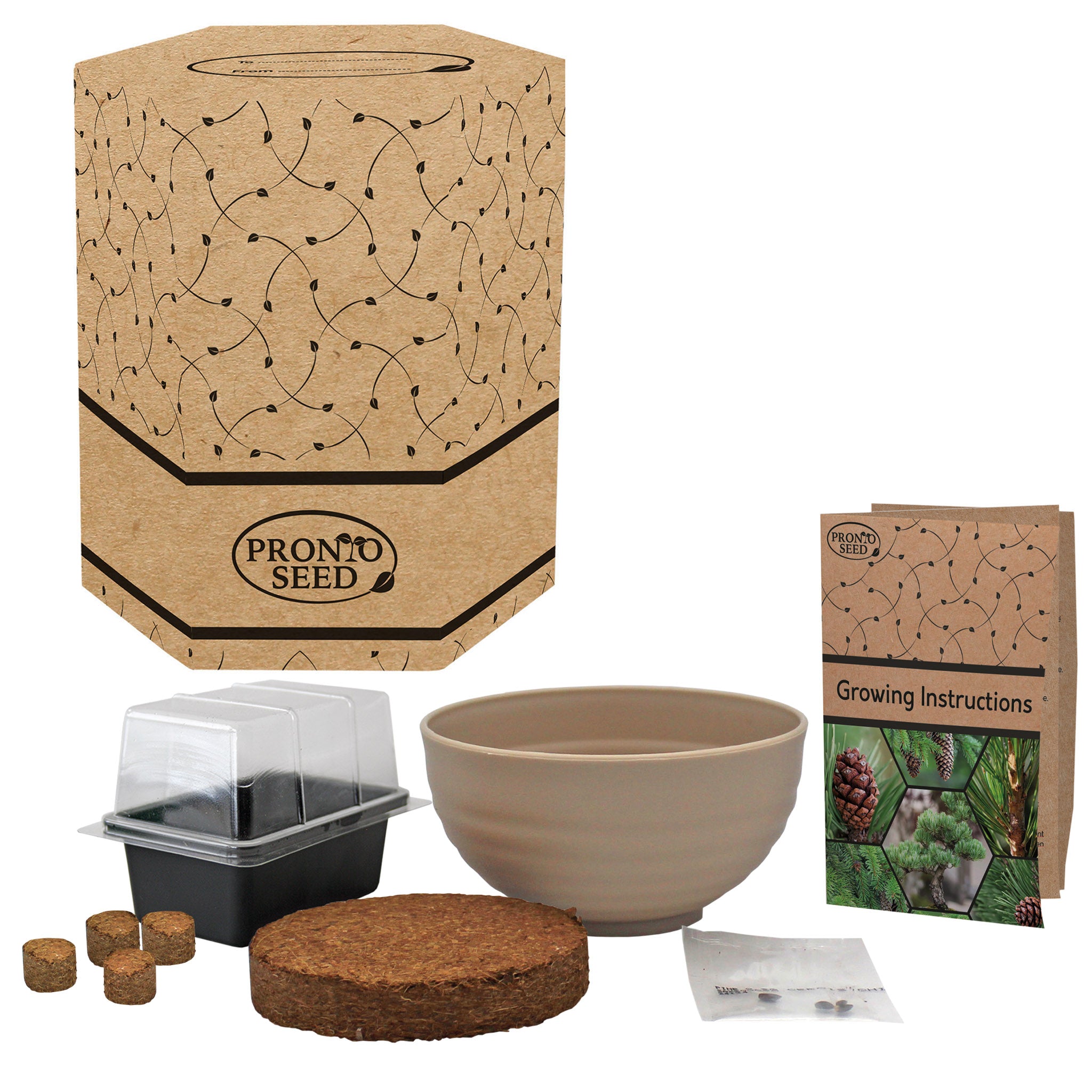 Bonsai Tree Kit - Grow Your Own Jerusalem Pine (Pinus halepensis)
