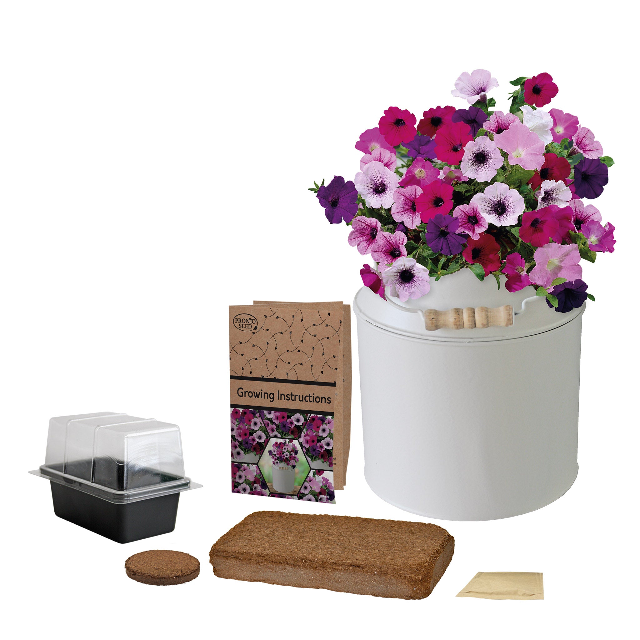 Petunia Grow Kit in Milk Churn – Flower Gift Set