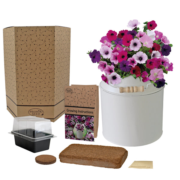 Planter Gifts