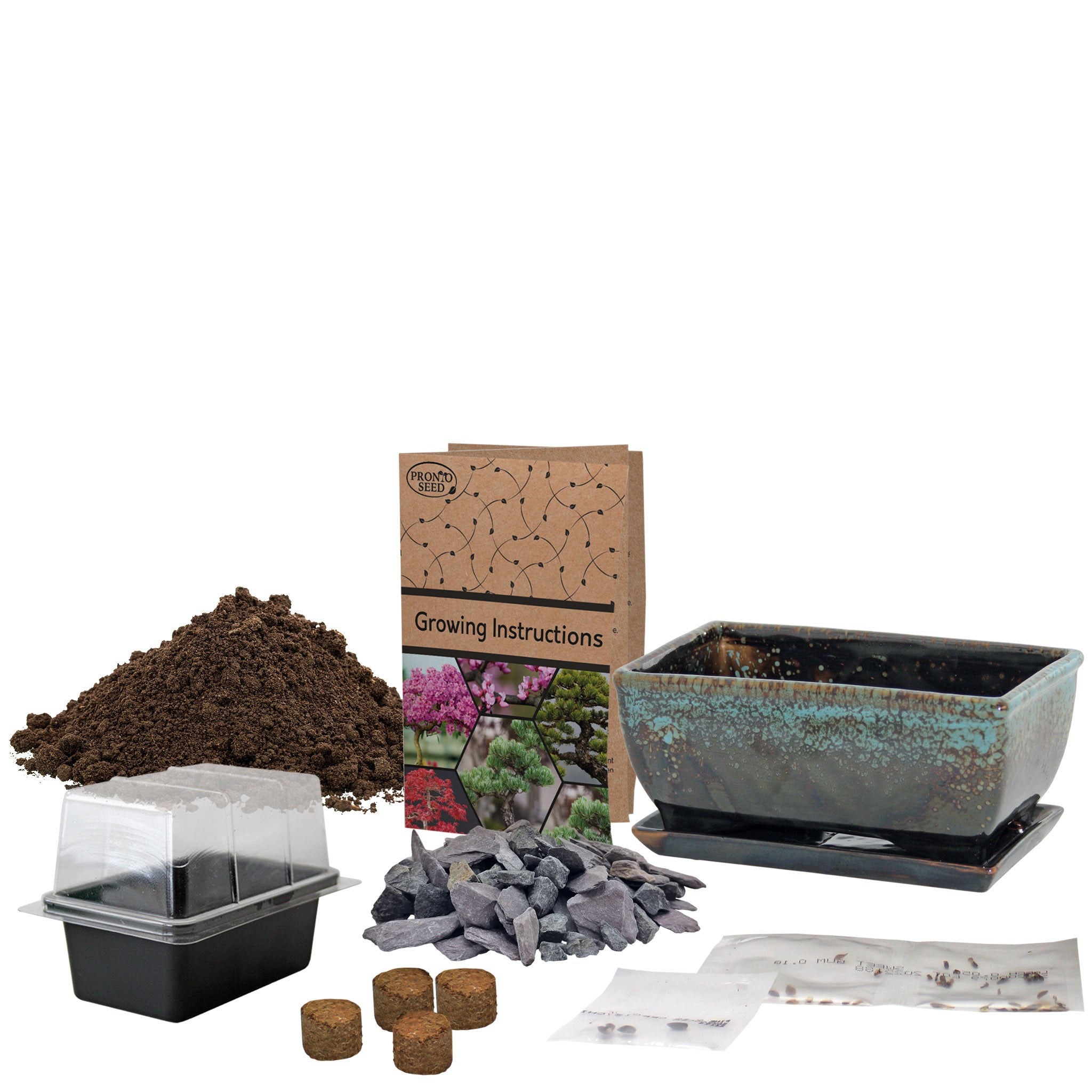 Grow Your Own Bonsai Tree Kit – Redbud, Pine & Sweetgum