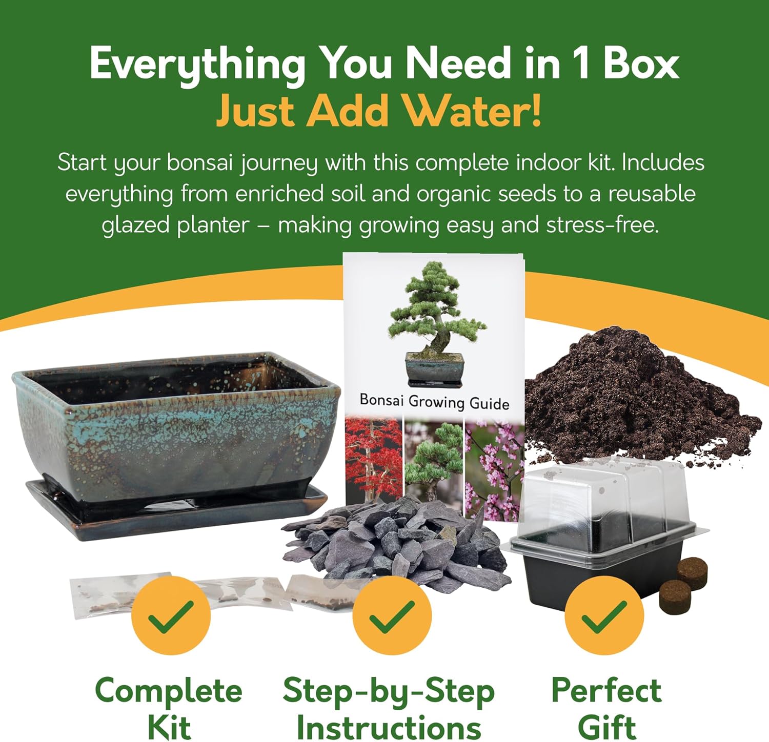 Grow Your Own Bonsai Tree Kit – Redbud, Pine & Sweetgum