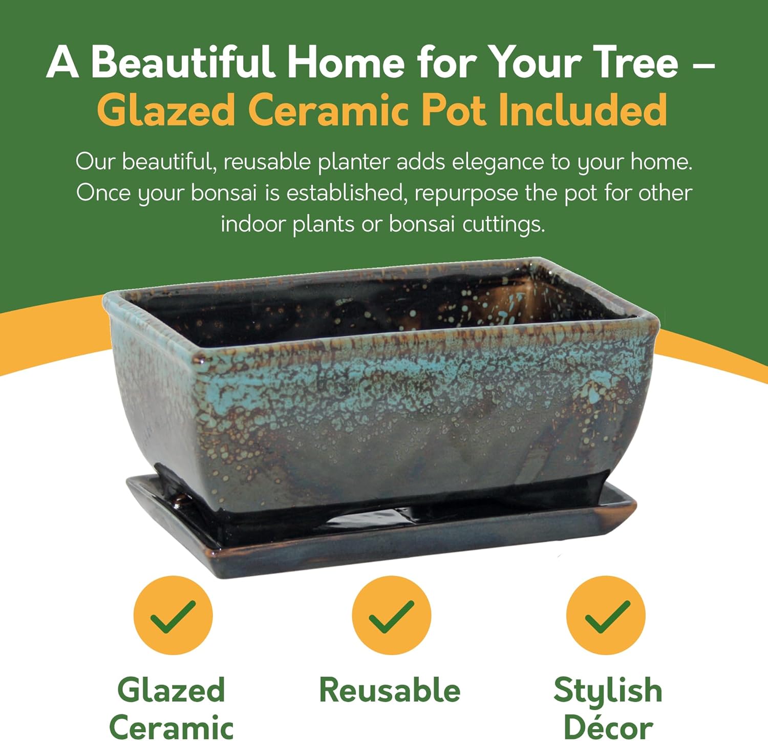 Grow Your Own Bonsai Tree Kit – Redbud, Pine & Sweetgum