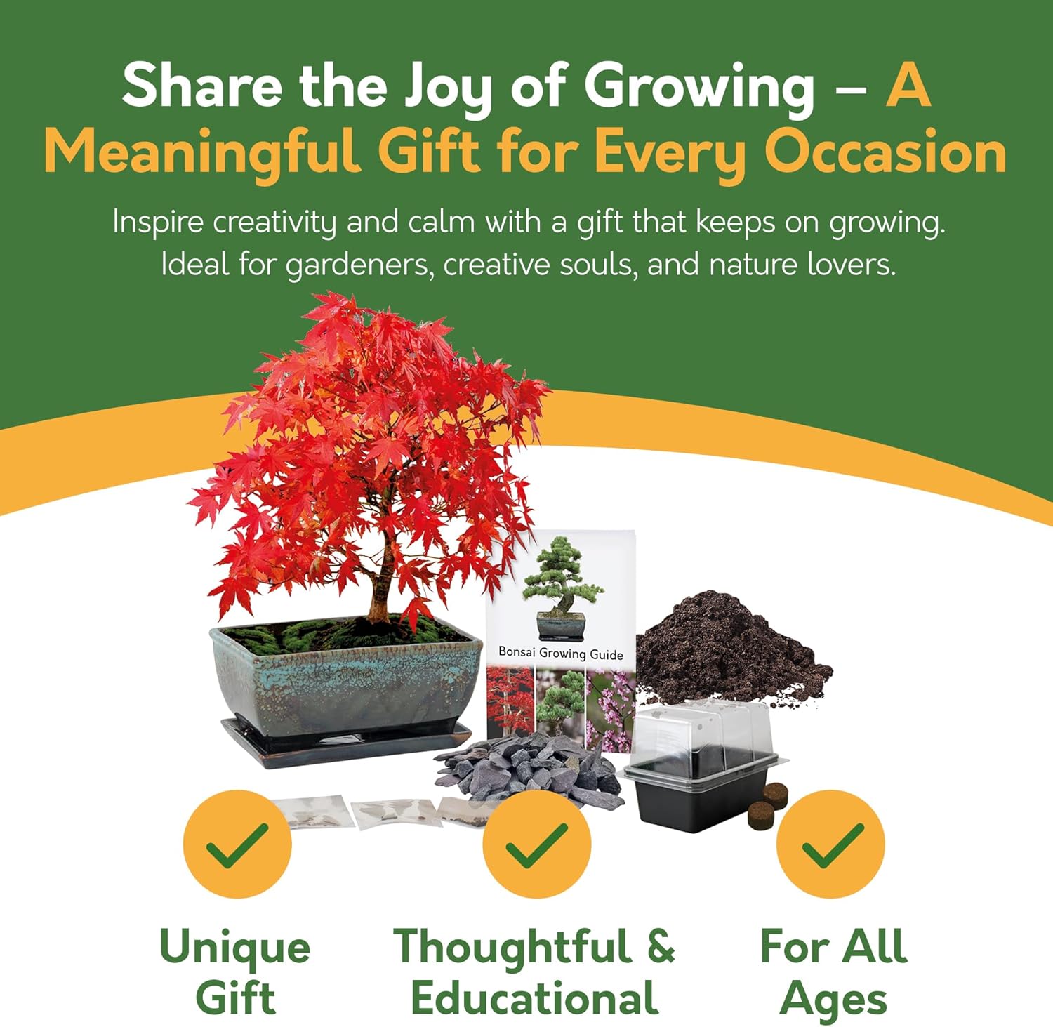 bonsai tree starter kit uk Bonsai Grow Kit with Glazed Planter – Complete Gift Set