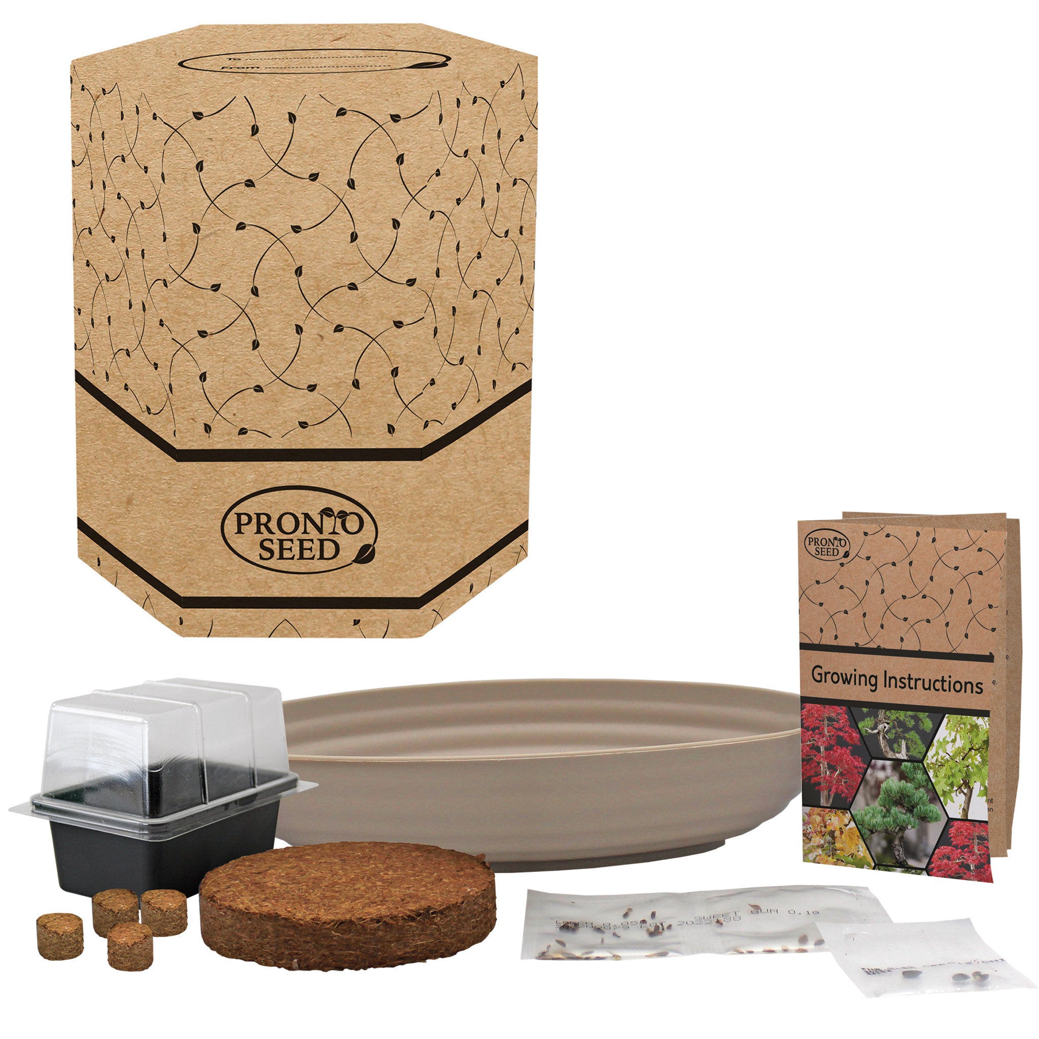 Grow Your Own Bonsai Tree Kit - Sweetgum, Juniper & Pine