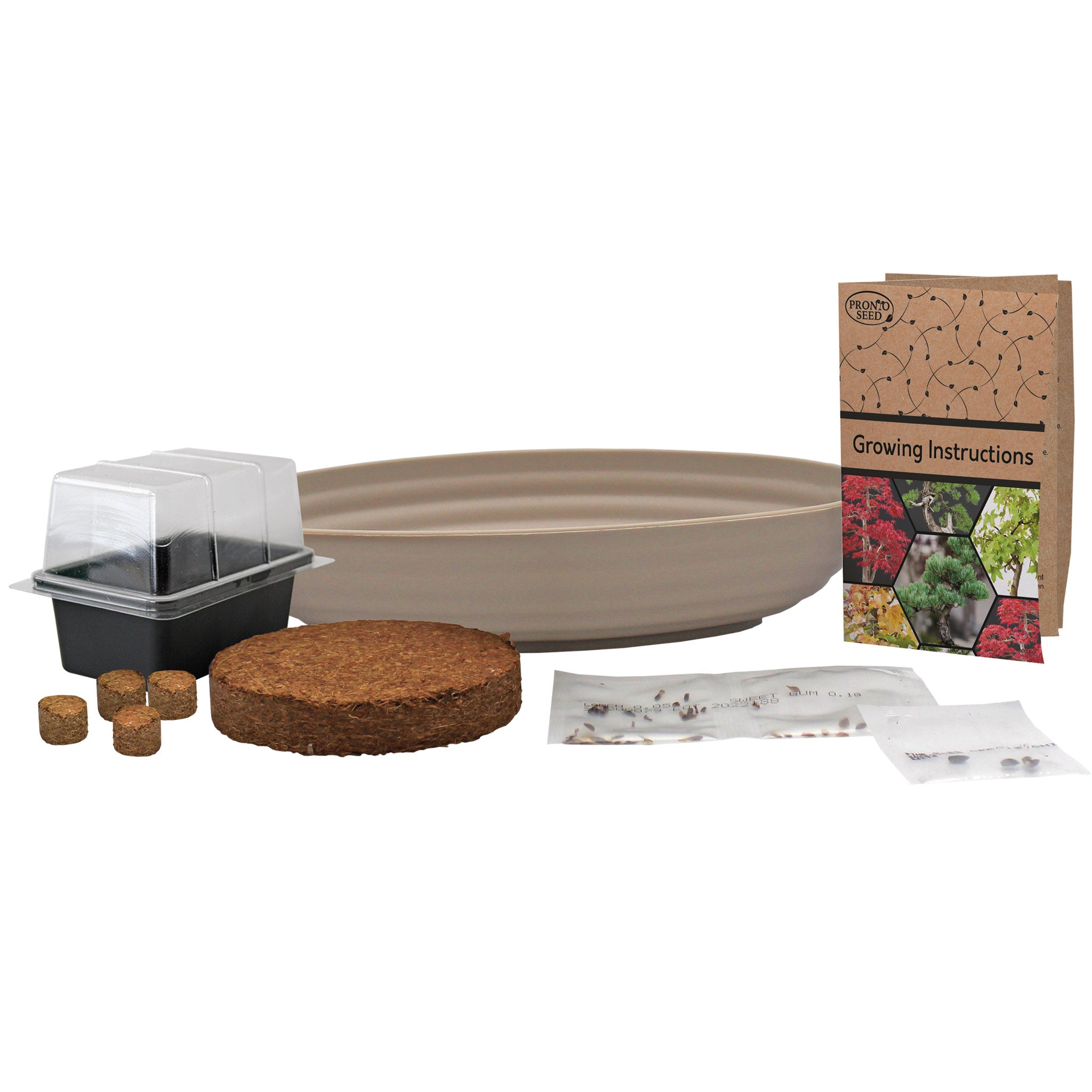 Grow Your Own Bonsai Tree Kit - Sweetgum, Juniper & Pine