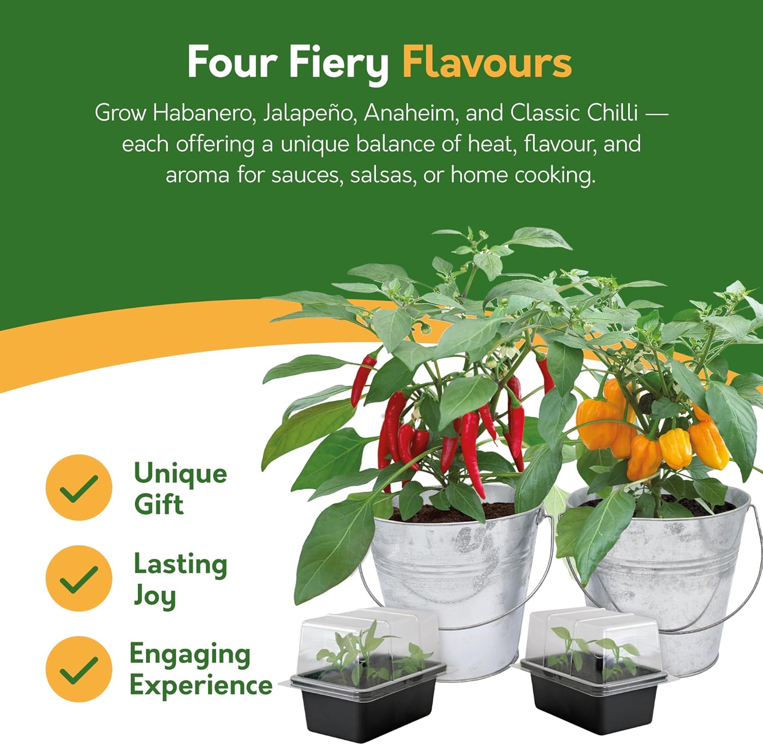 Chilli Grow Kit - 2 Bucket Planters with Anaheim, Cayenne, Jalapeño & Habanero