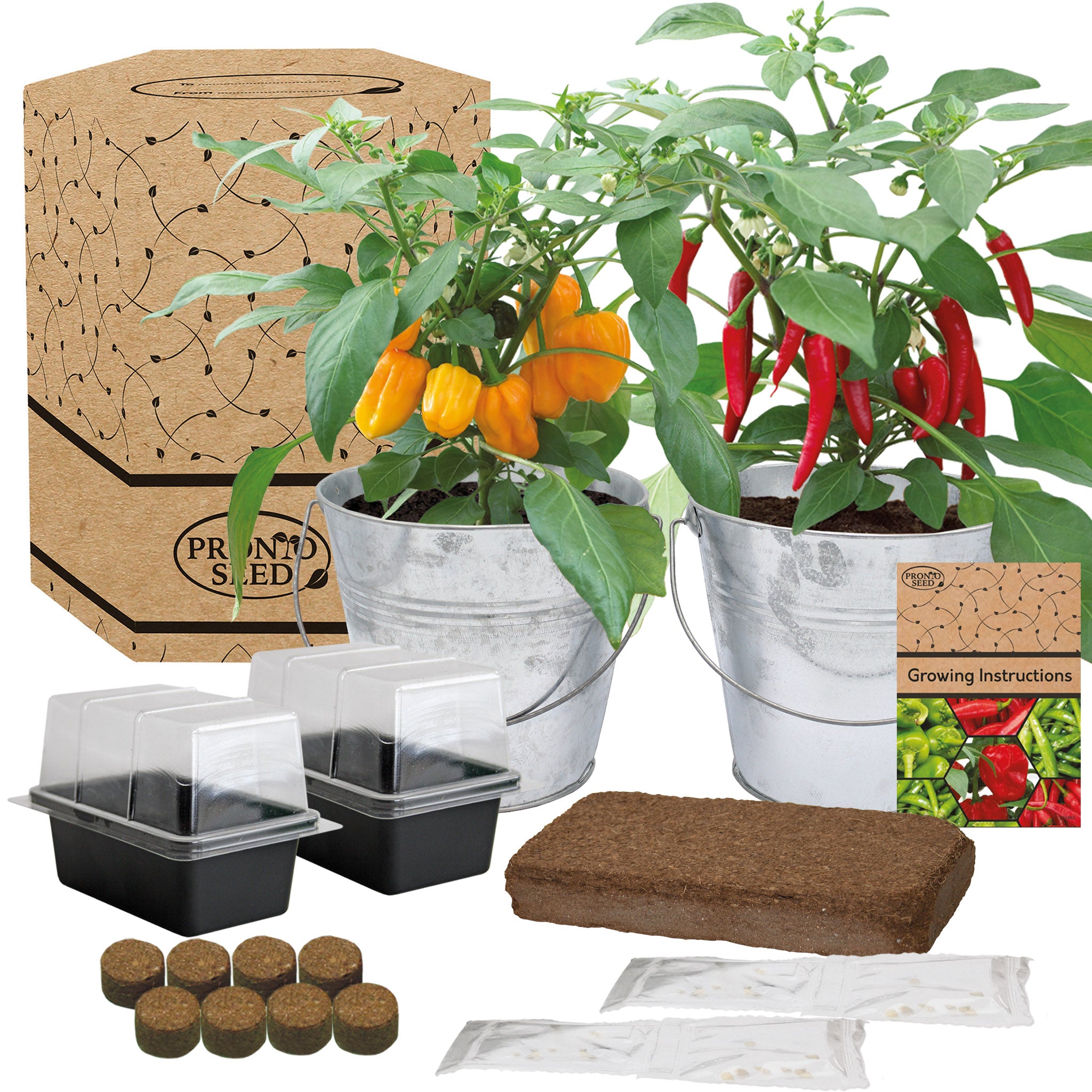 Chilli Grow Kit - 2 Bucket Planters with Anaheim, Cayenne, Jalapeño & Habanero
