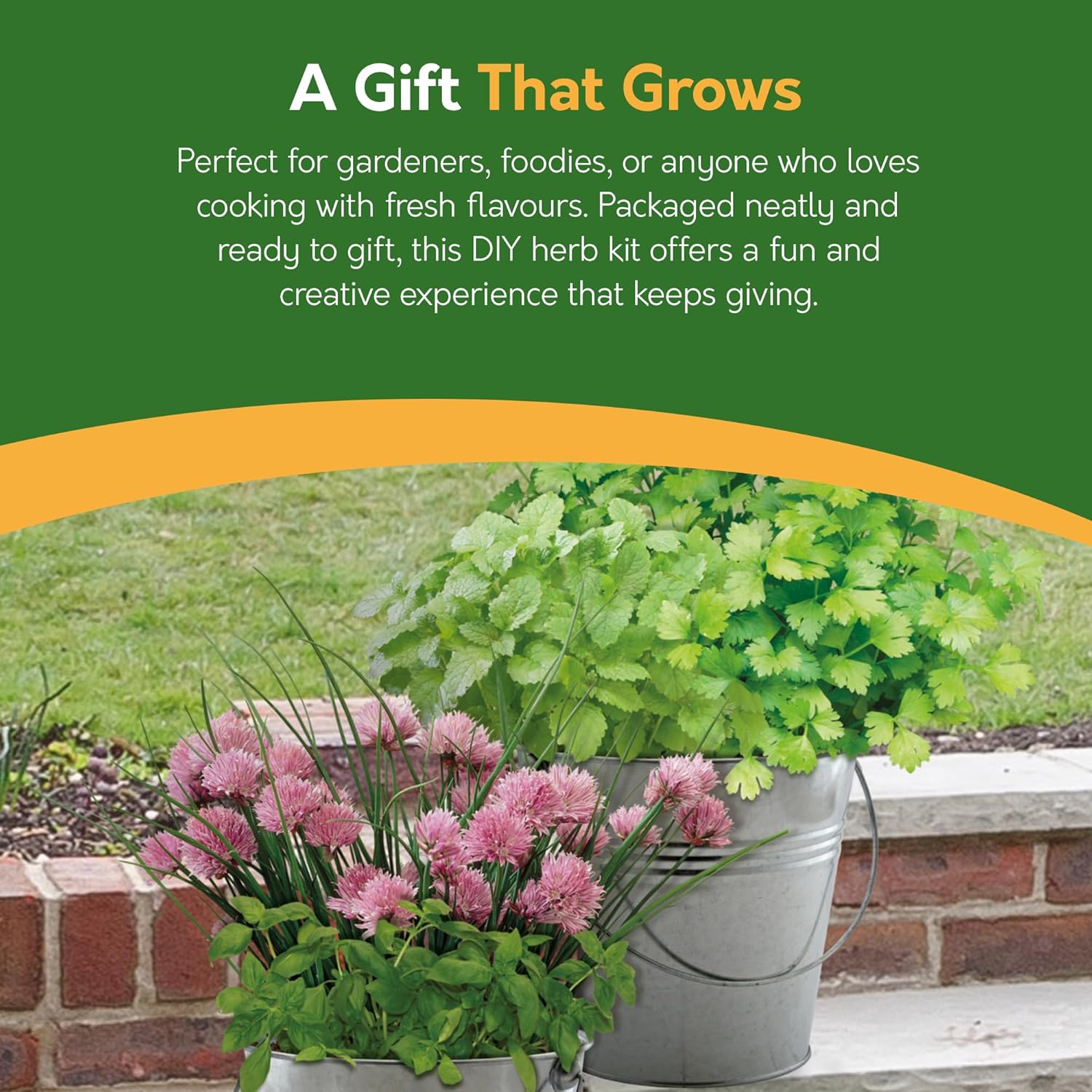 Herb Grow Kit – 2 Bucket Planters with Chives, Basil, Mint & Parsley