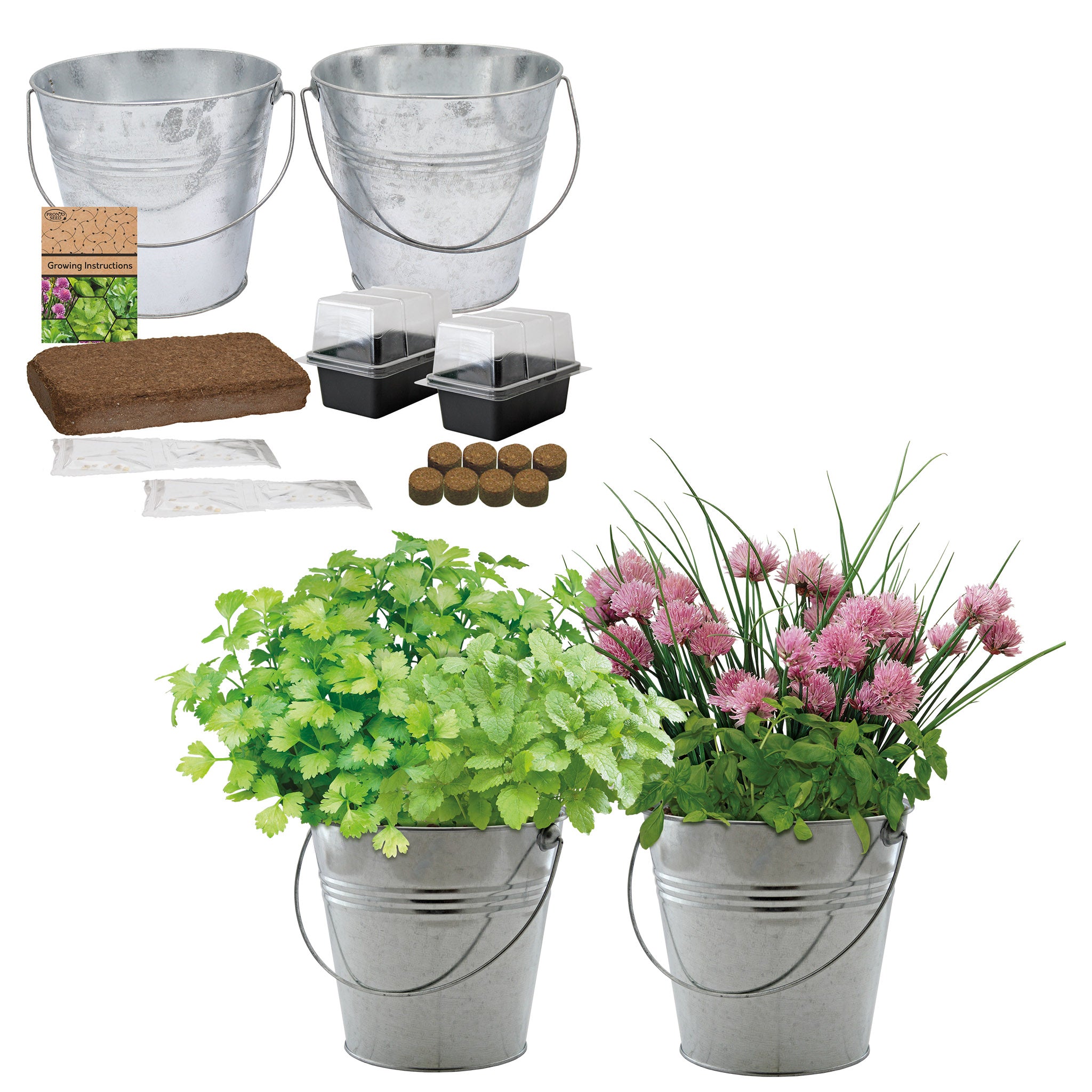 Herb Grow Kit – 2 Bucket Planters with Chives, Basil, Mint & Parsley