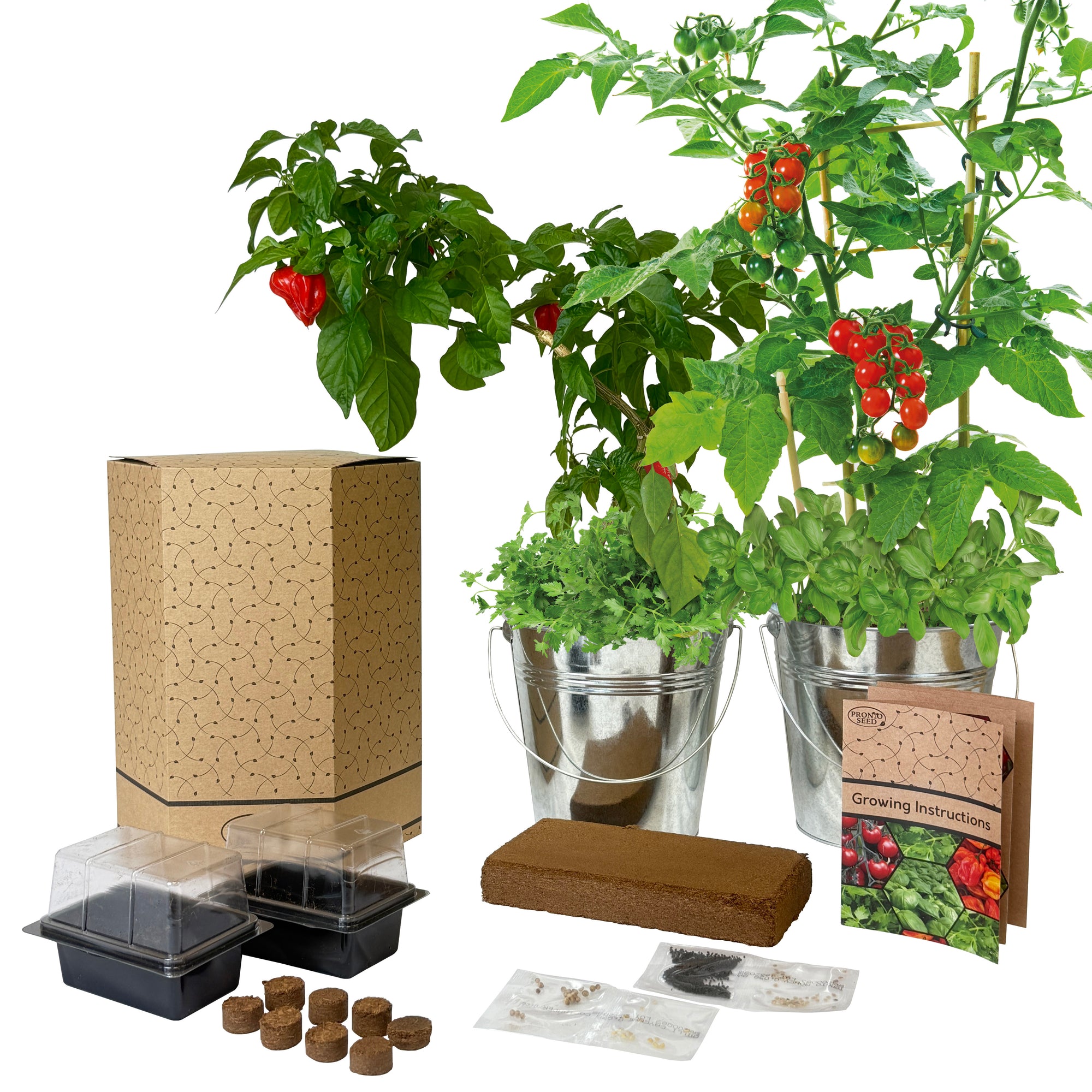 Grow Kit - Chillies, Tomatoes & Herbs in 2 Bucket Planters – Pronto Seed