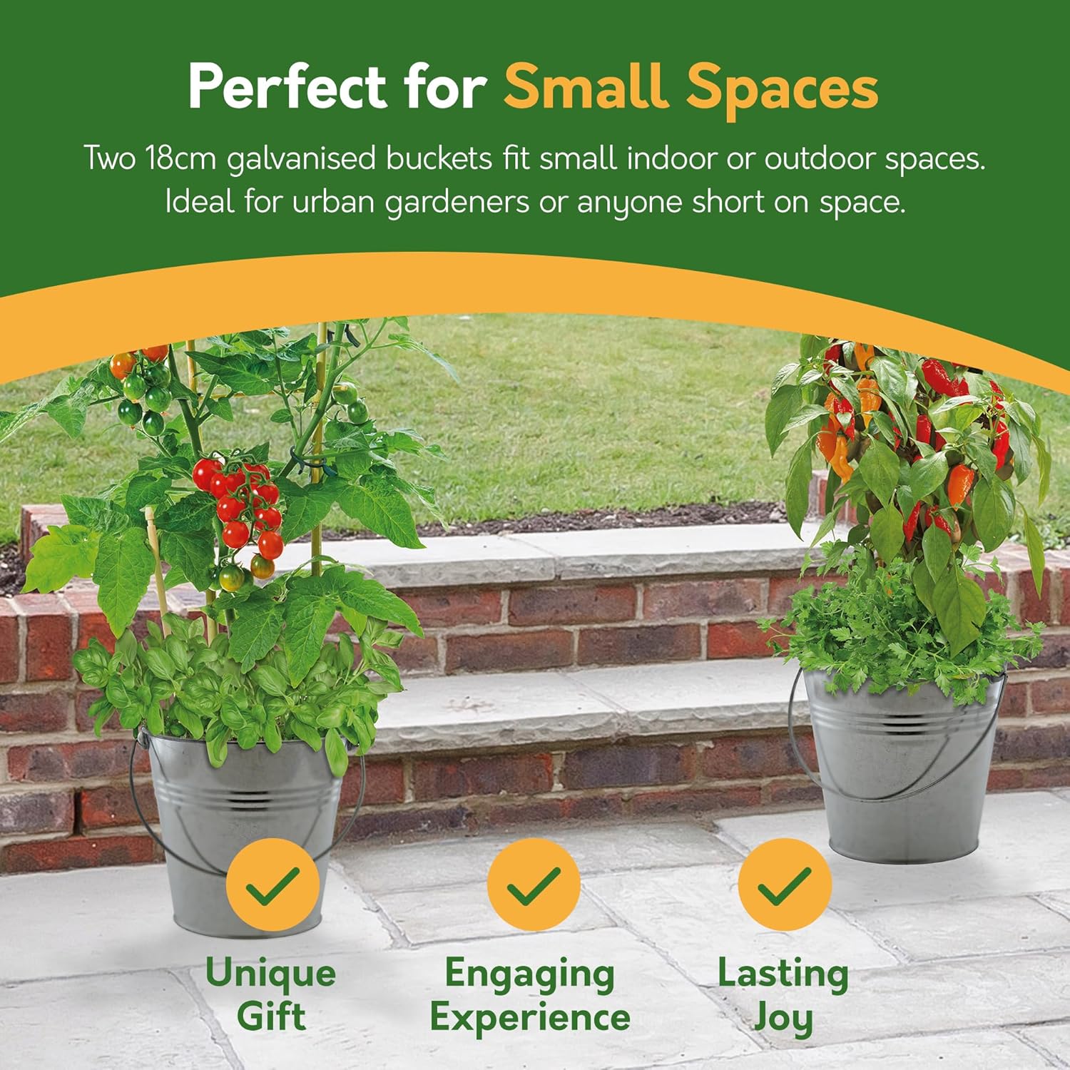 Combo Grow Kit – 2 Bucket Planters with Chilli, Tomato & Herb Seeds