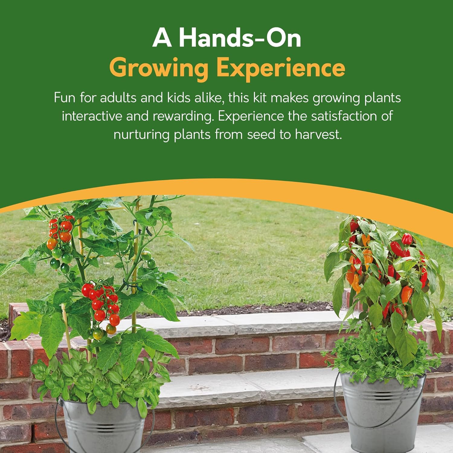 Combo Grow Kit – 2 Bucket Planters with Chilli, Tomato & Herb Seeds