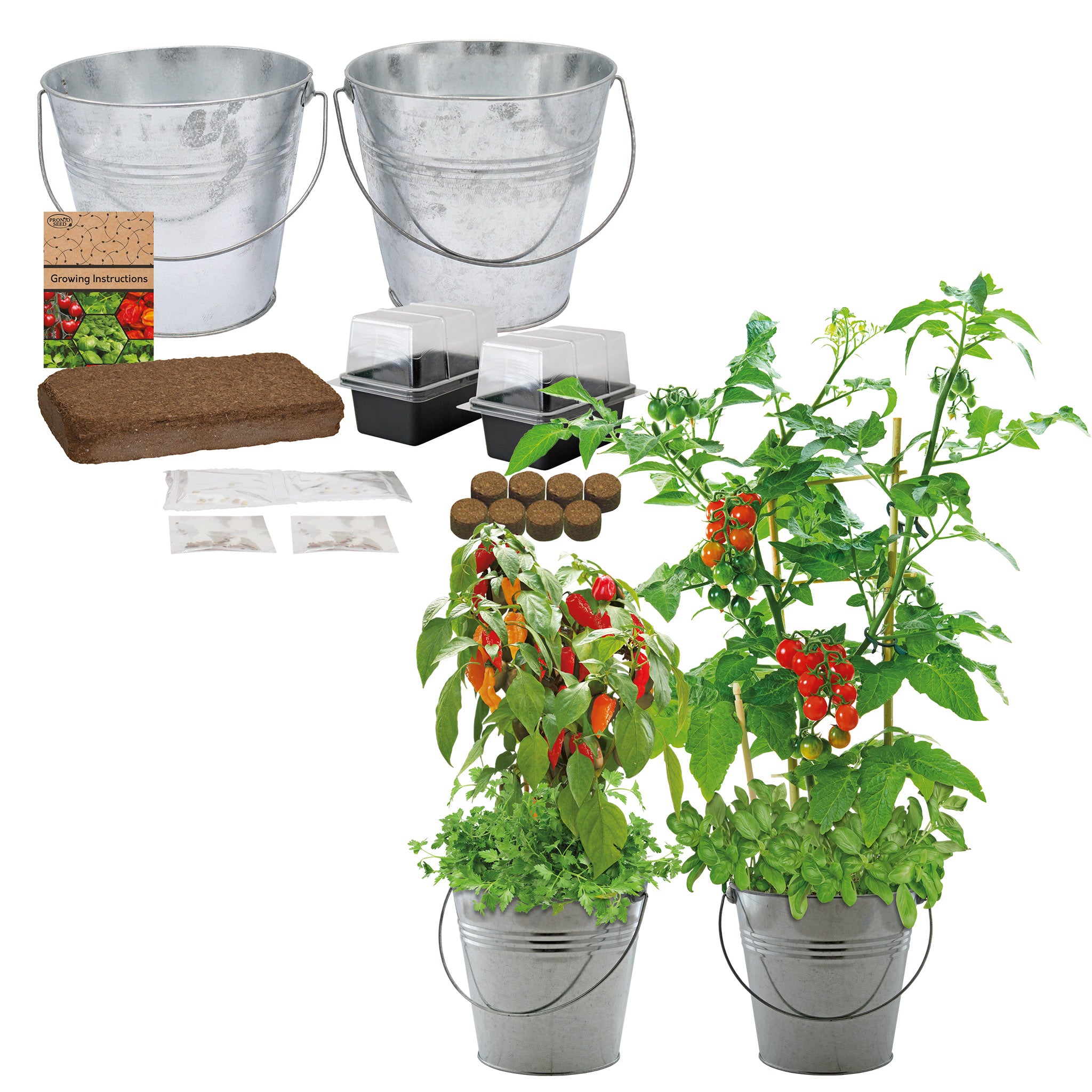 Combo Grow Kit – 2 Bucket Planters with Chilli, Tomato & Herb Seeds