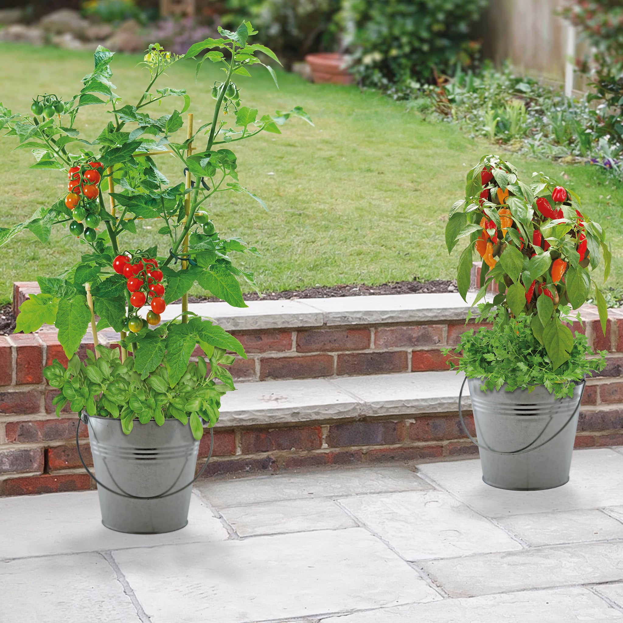 Combo Grow Kit – 2 Bucket Planters with Chilli, Tomato & Herb Seeds
