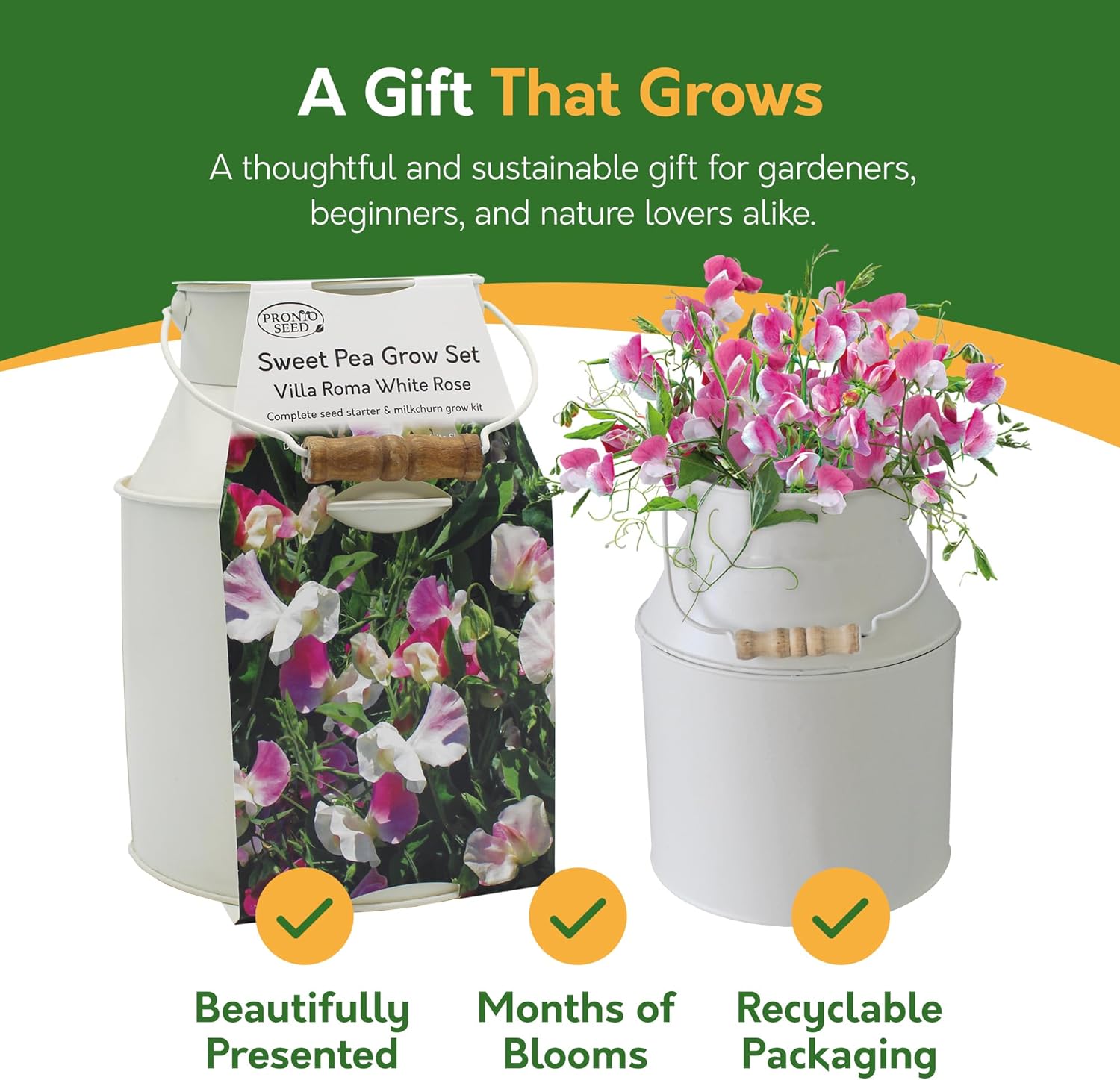 Sweet Pea Grow Set with packaging and flowers on a green background