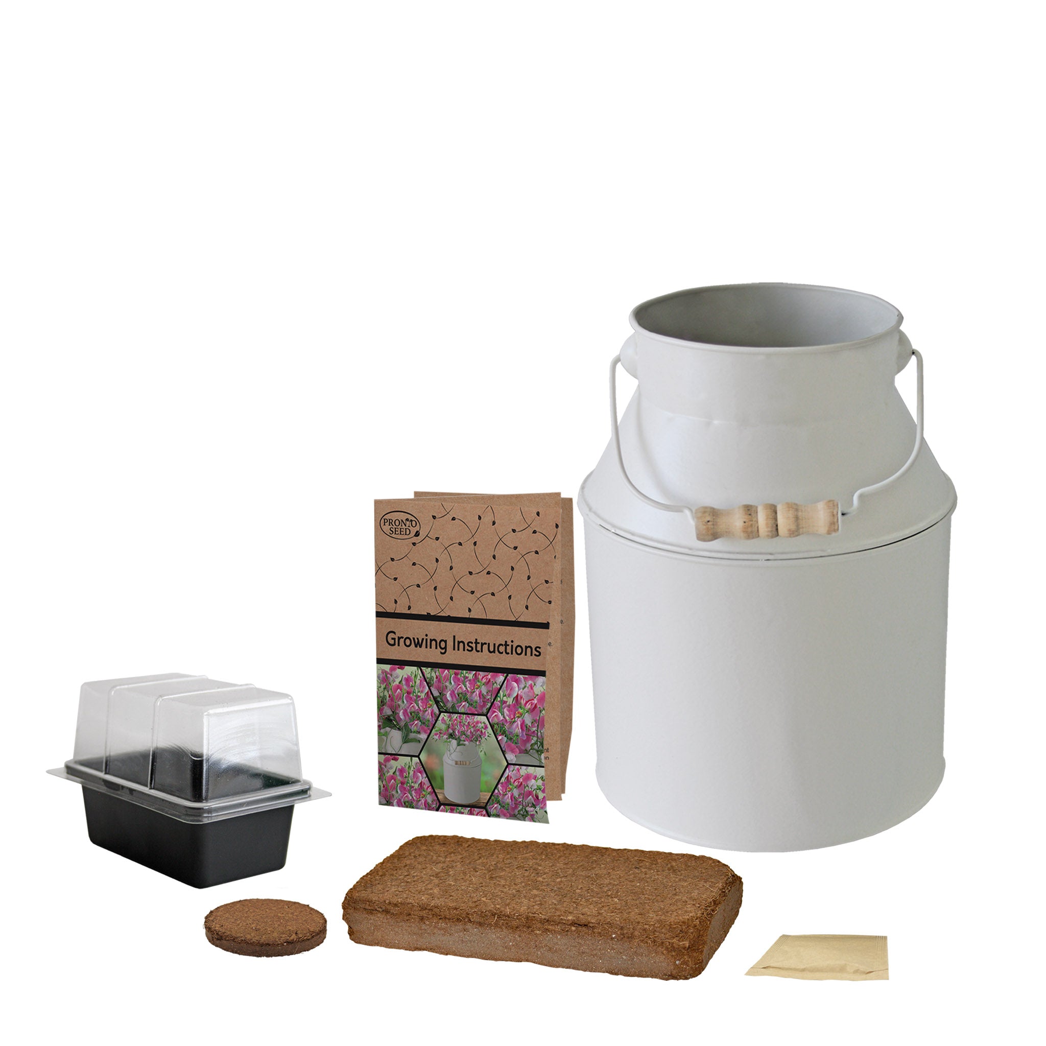 Sweet Pea Grow Kit in Milk Churn – Flower Gift Set