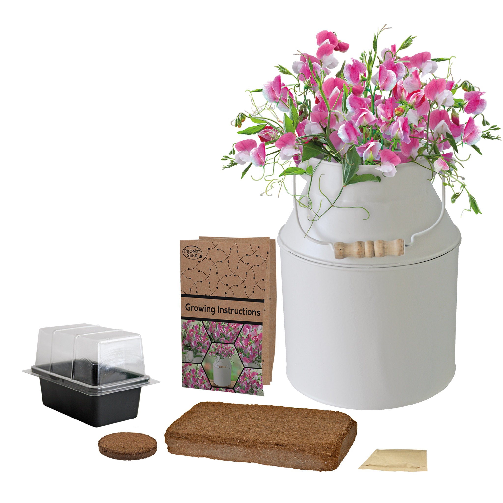 Sweet Pea Grow Kit in Milk Churn – Flower Gift Set | Pronto Seed