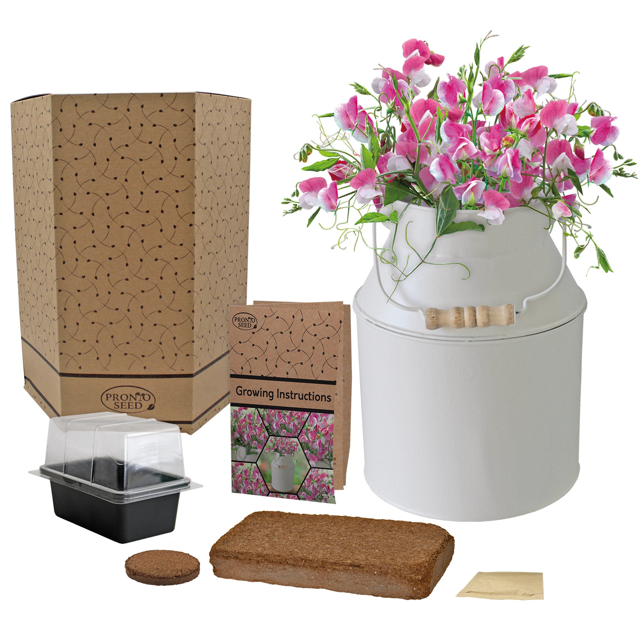 Sweet Pea Grow Kit in Milk Churn – Flower Gift Set