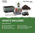 Bonsai Tree Starter Kit with Traditional Glazed Planter