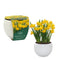 Daffodil Tete-a-Tete Grow Gift With 13cm Basalt Planter