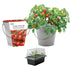 Cherry Tomato Bucket Planter Grow Your Own Gift Set Kit