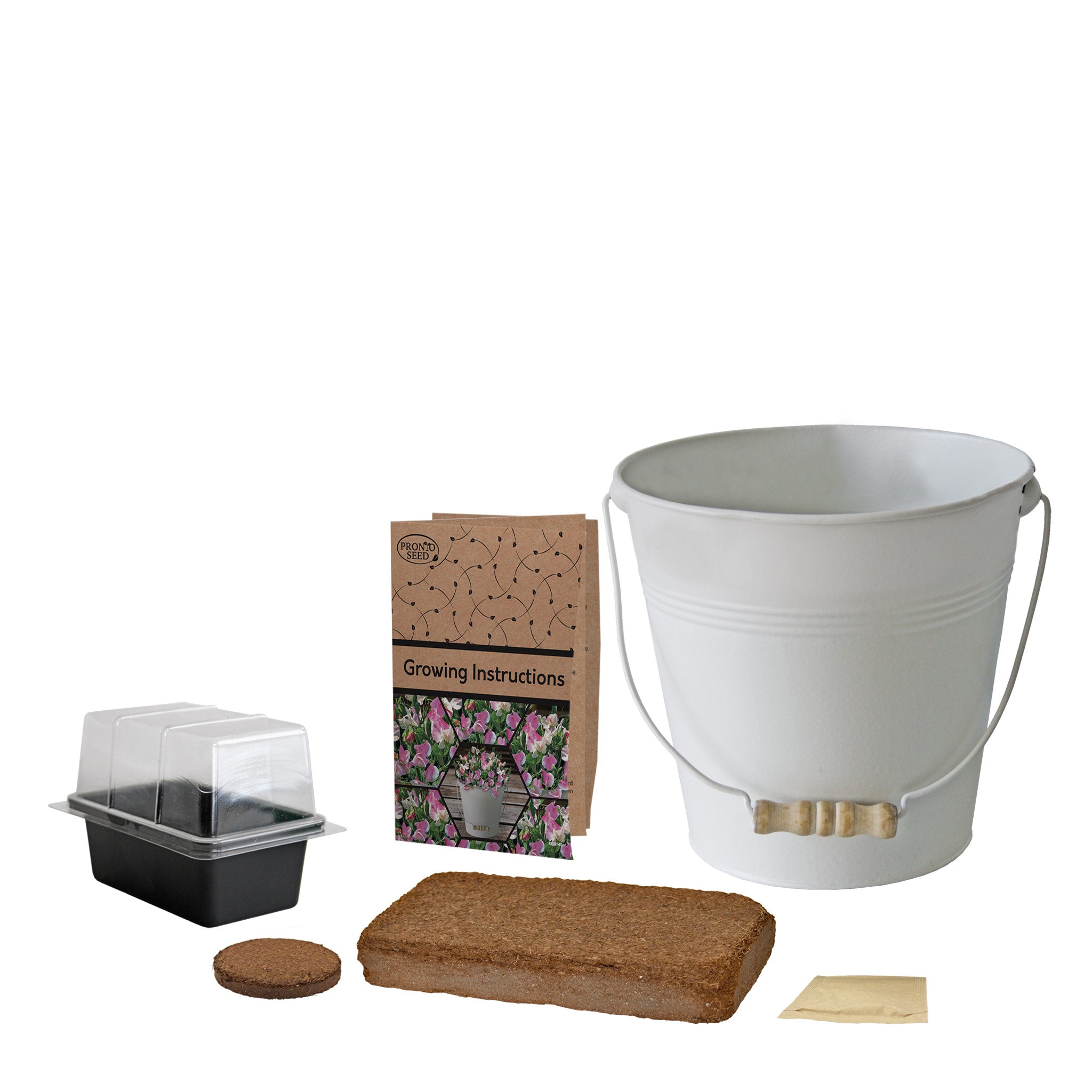 Sweet Pea Grow Kit in Cream Bucket – Flower Gift Set