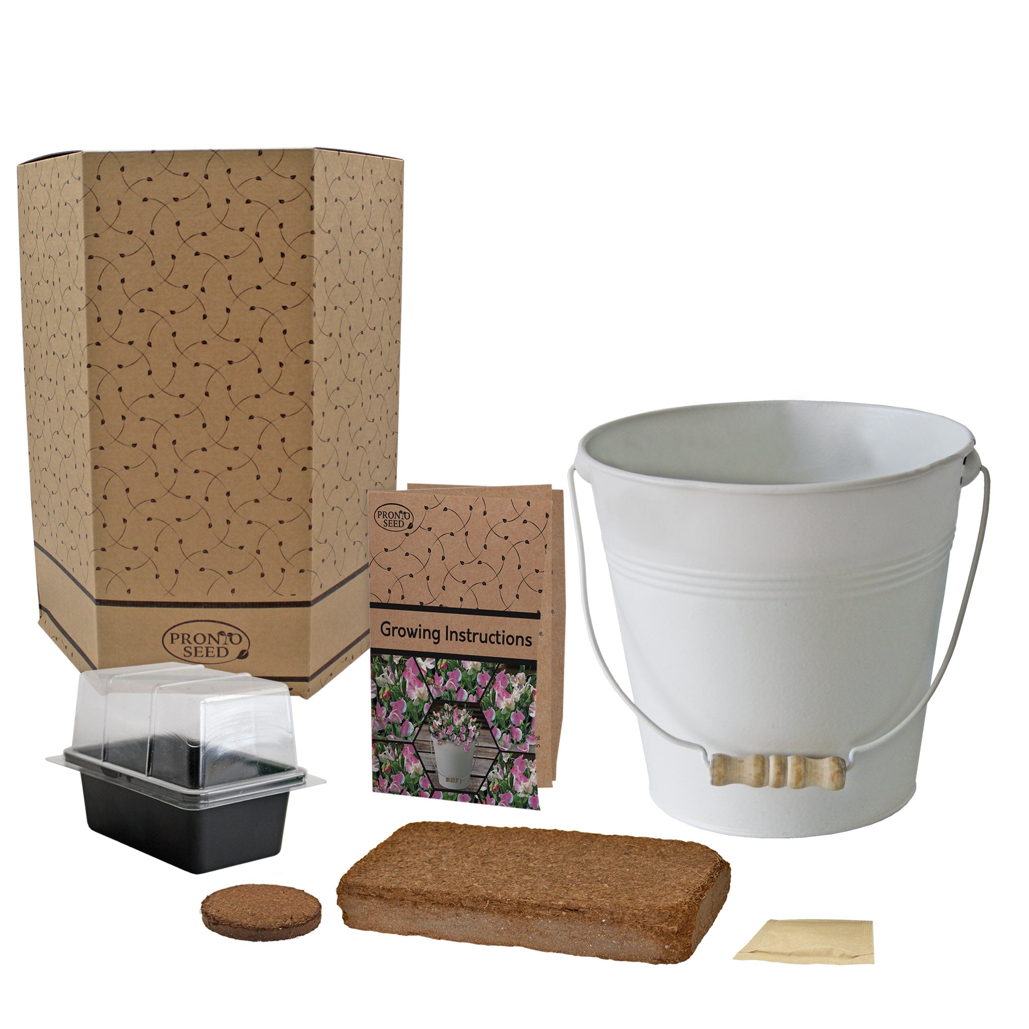 Sweet Pea Grow Kit in Cream Bucket – Flower Gift Set