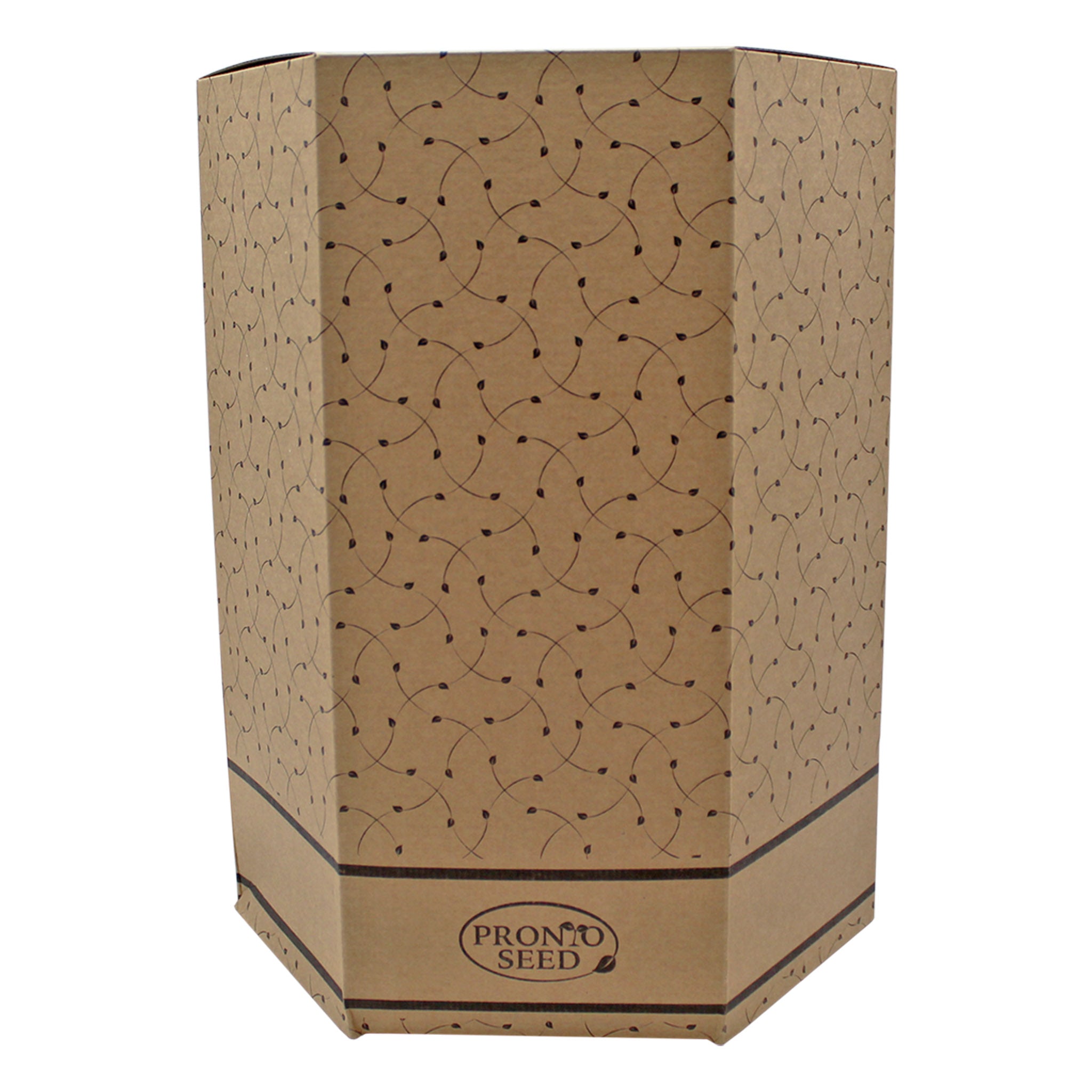 Sweet Pea Grow Kit in Cream Bucket – Flower Gift Set