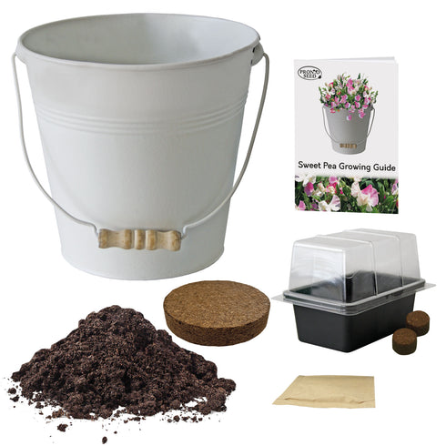 Sweet Pea Cream Bucket Planter Gift Set