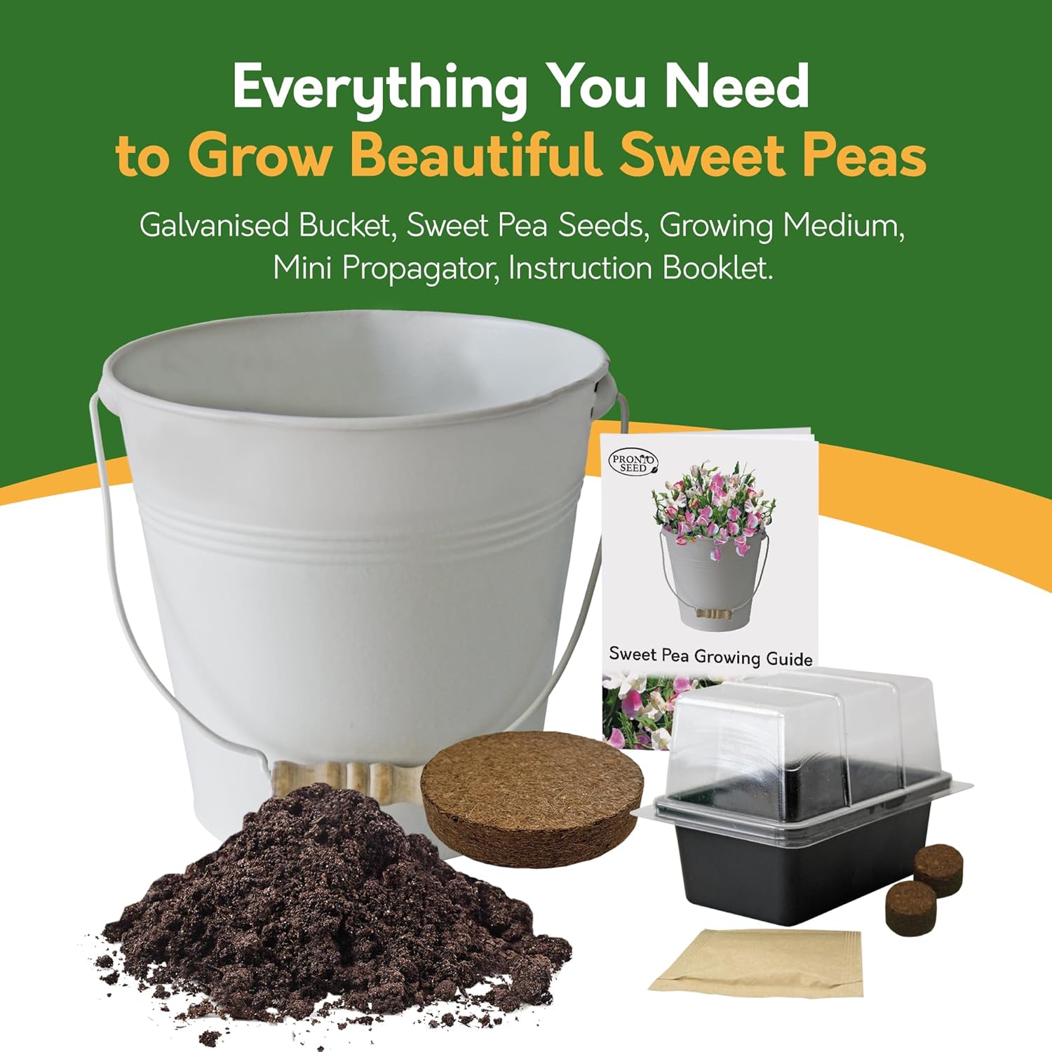 Sweet Pea Grow Kit in Cream Bucket – Flower Gift Set
