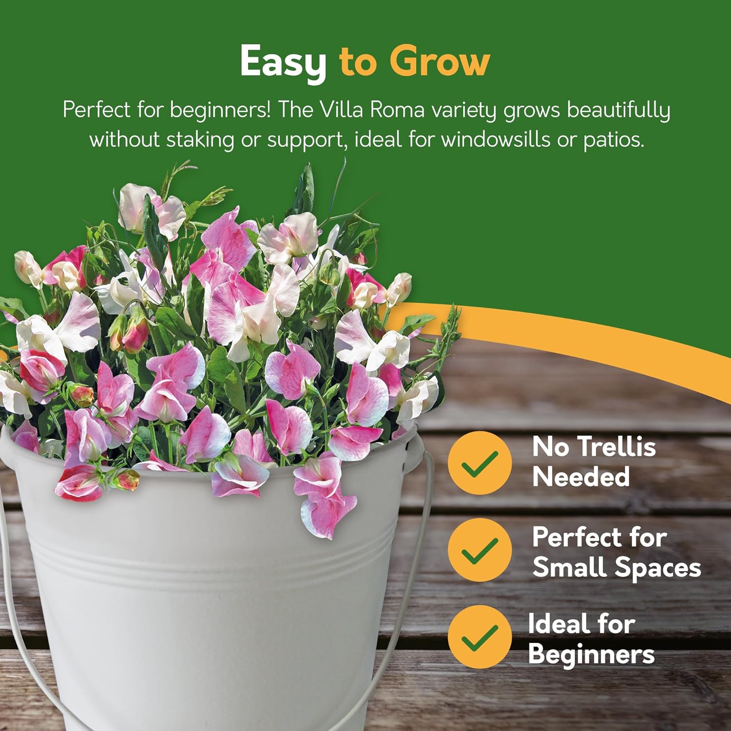 Sweet Pea Grow Kit in Cream Bucket – Flower Gift Set