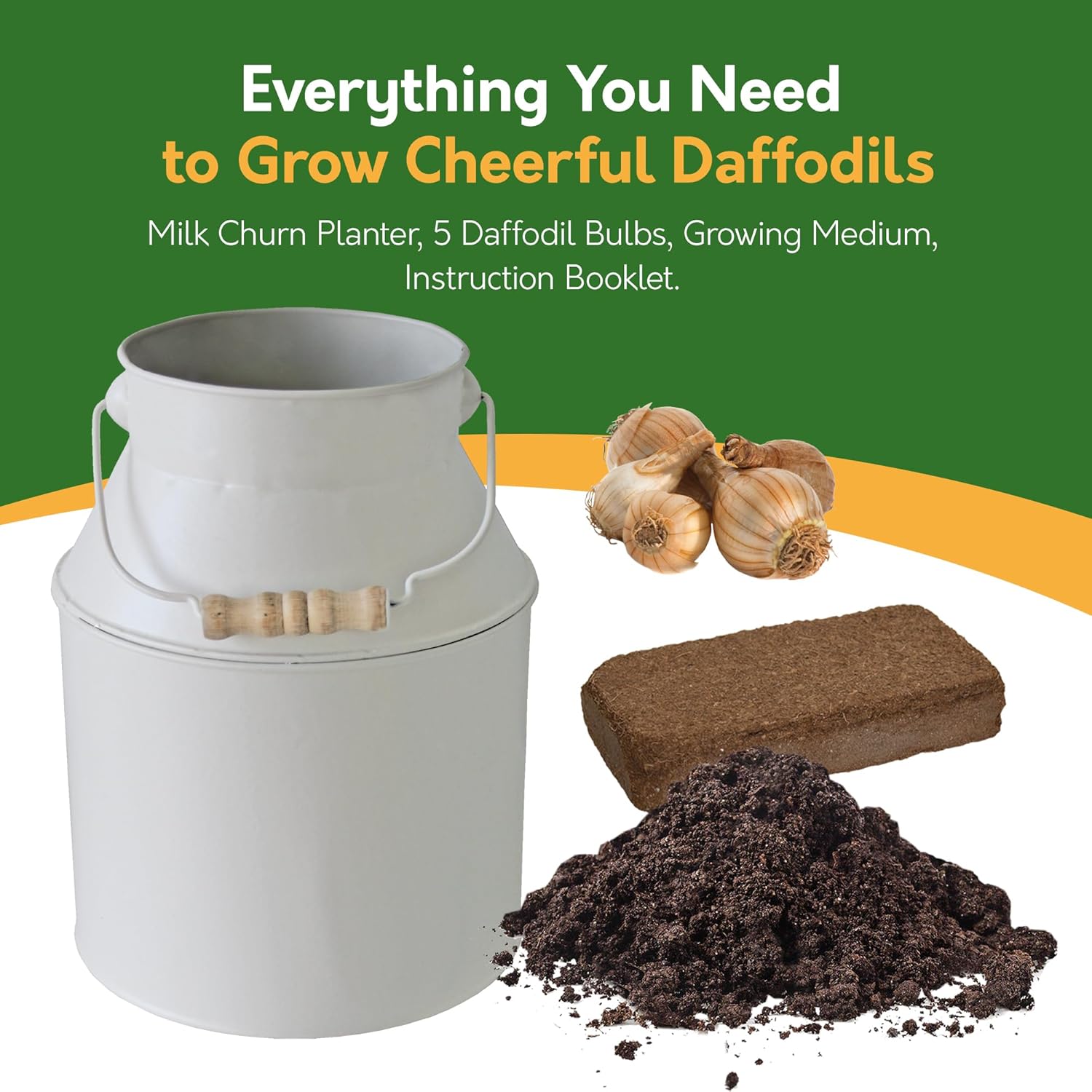 Daffodil Tête-à-Tête Grow Gift - 4 Bulbs in Decorative Milk Churn Planter