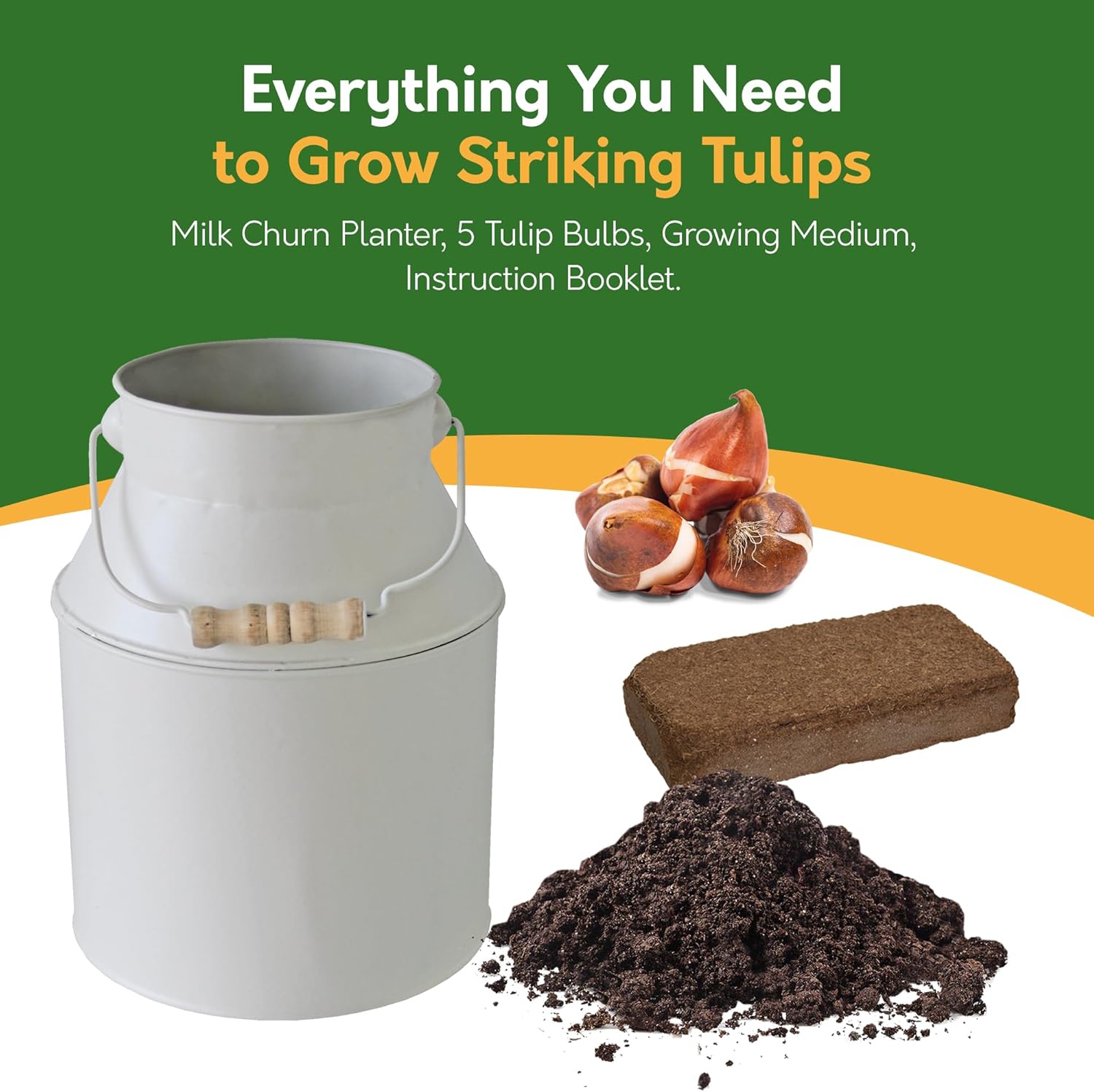 Tulip Red Riding Hood Milkchurn Growing Gift Set