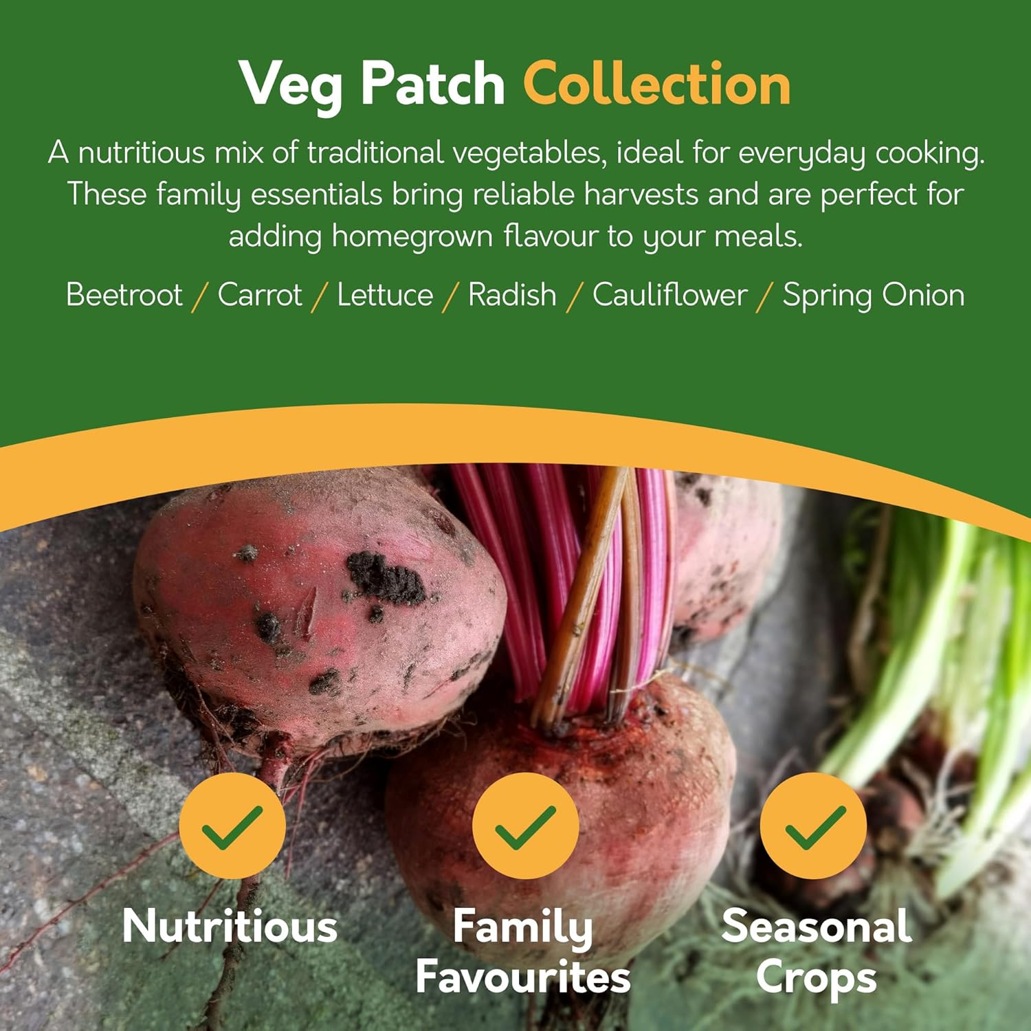 Vegetable Seeds – 21 Varieties, 1,700+ Seeds