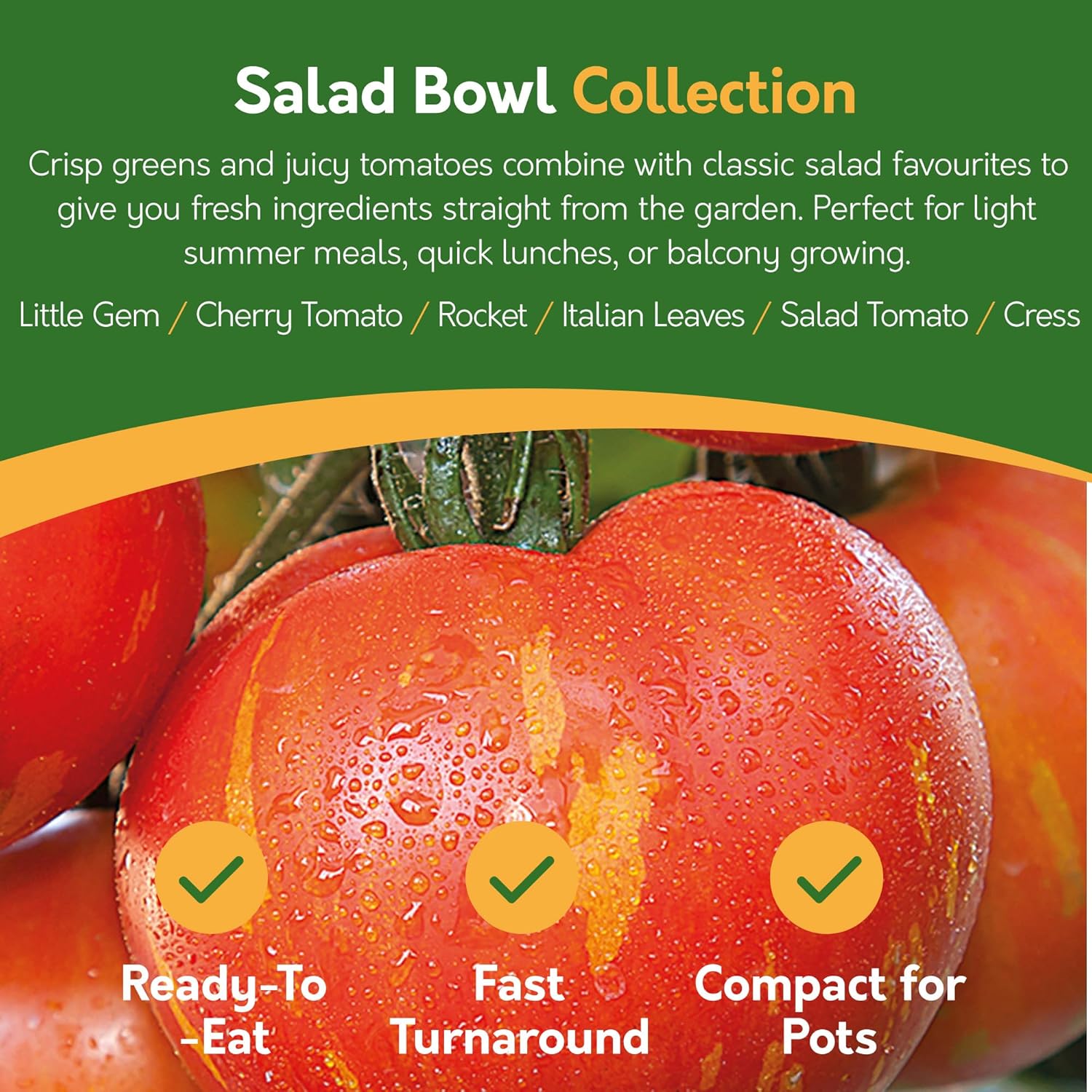 Vegetable Seeds – 21 Varieties, 1,700+ Seeds