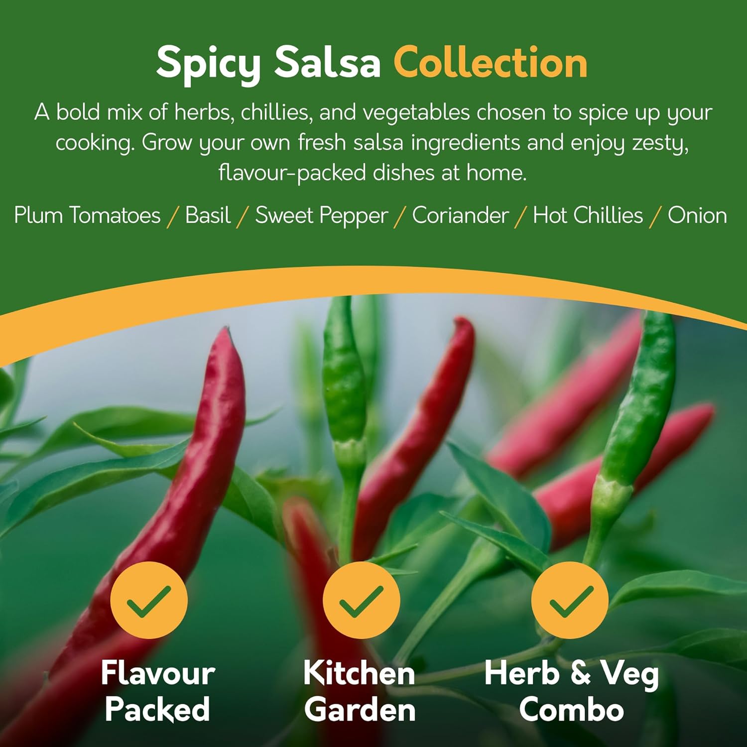 Vegetable Seeds – 21 Varieties, 1,700+ Seeds