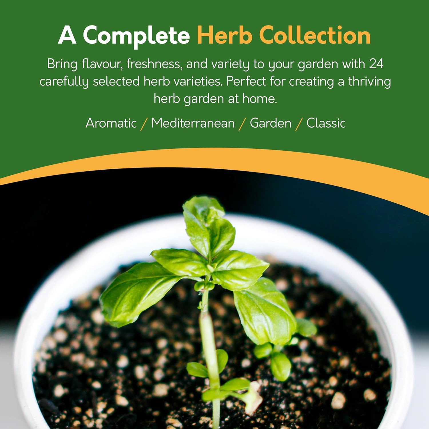 Herb Seeds – 24 Varieties, 2,900+ Seeds