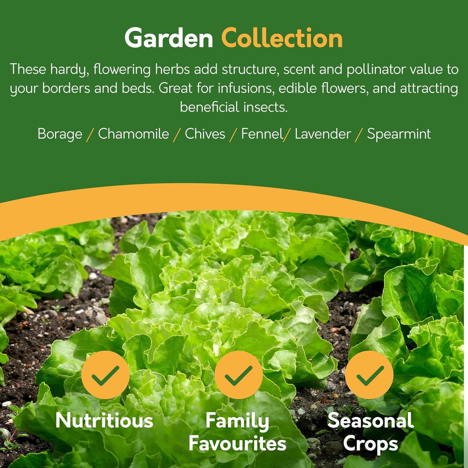 Herb Seeds – 24 Varieties, 2,900+ Seeds