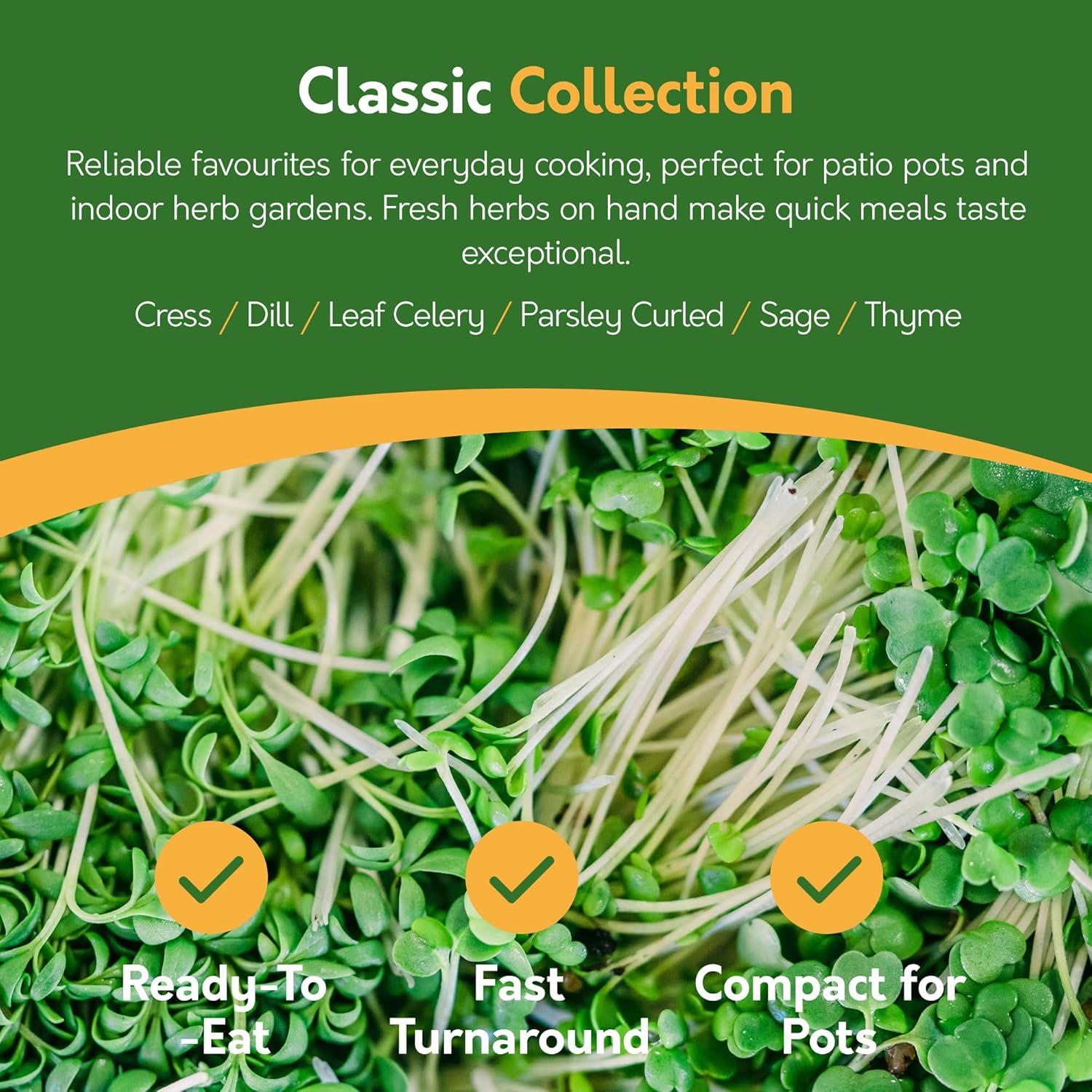 Herb Seeds – 24 Varieties, 2,900+ Seeds