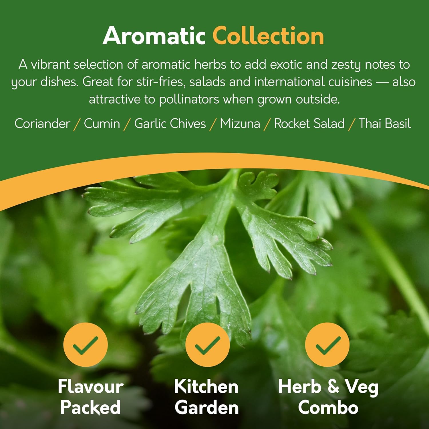 Herb Seeds – 24 Varieties, 2,900+ Seeds