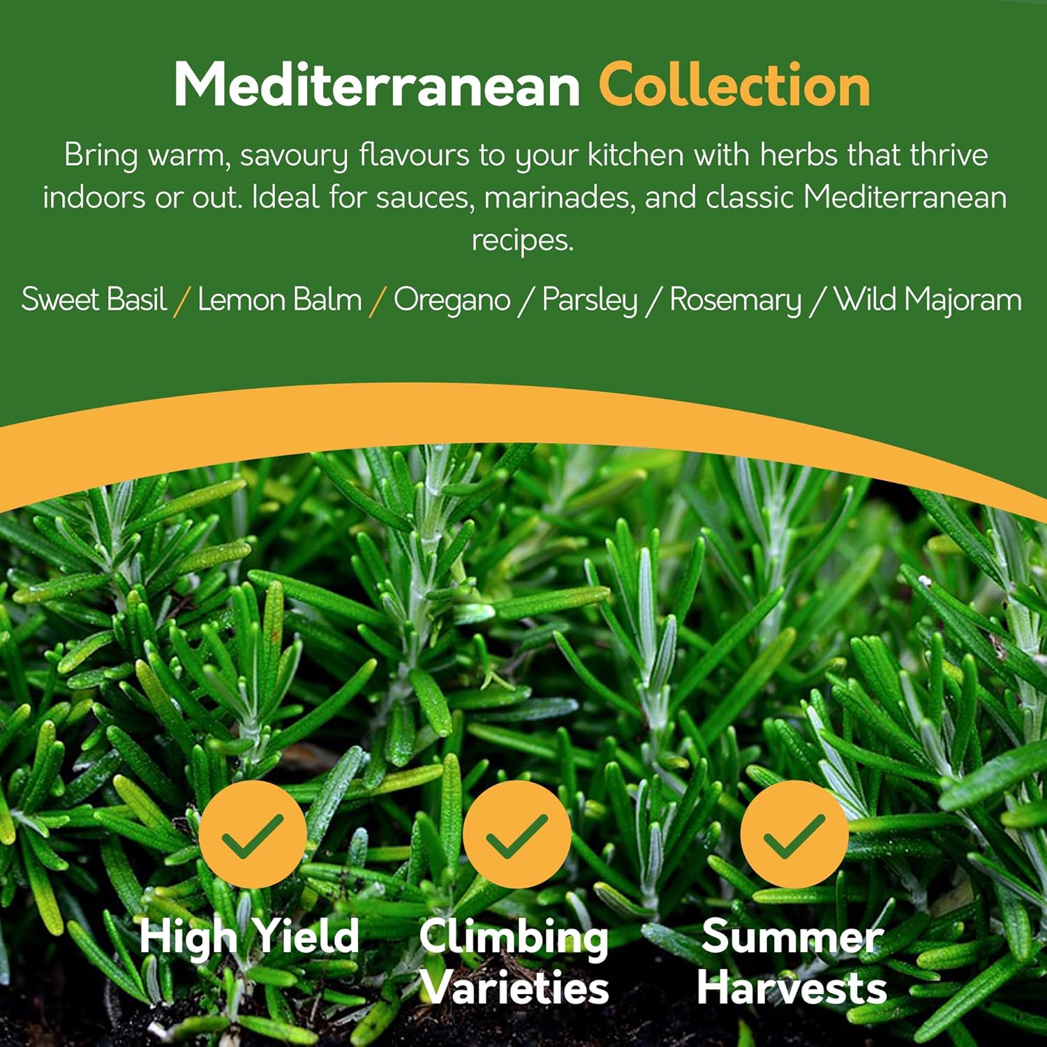 Herb Seeds – 24 Varieties, 2,900+ Seeds