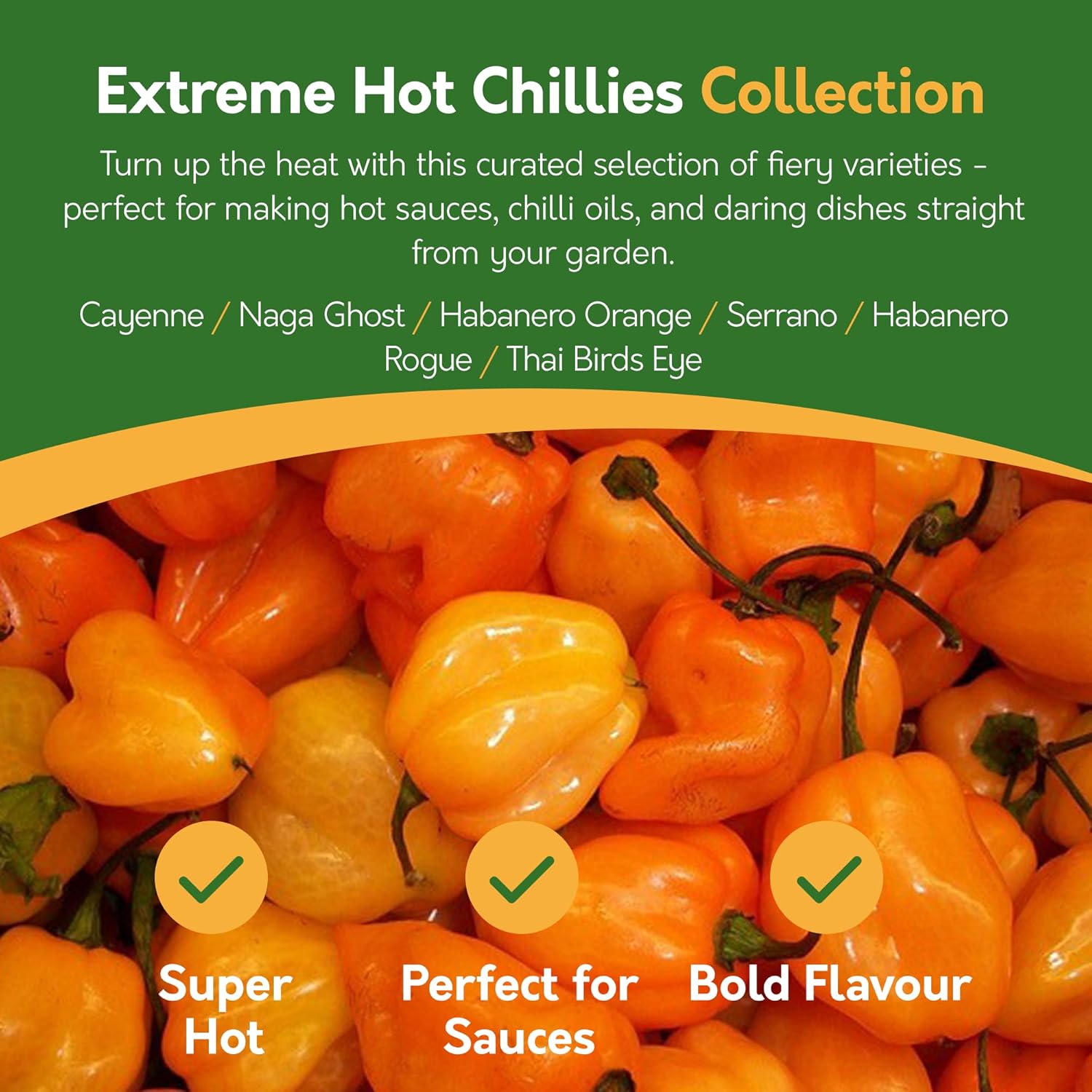 Chilli Pepper Seeds – 12 Varieties, 117+ Seeds
