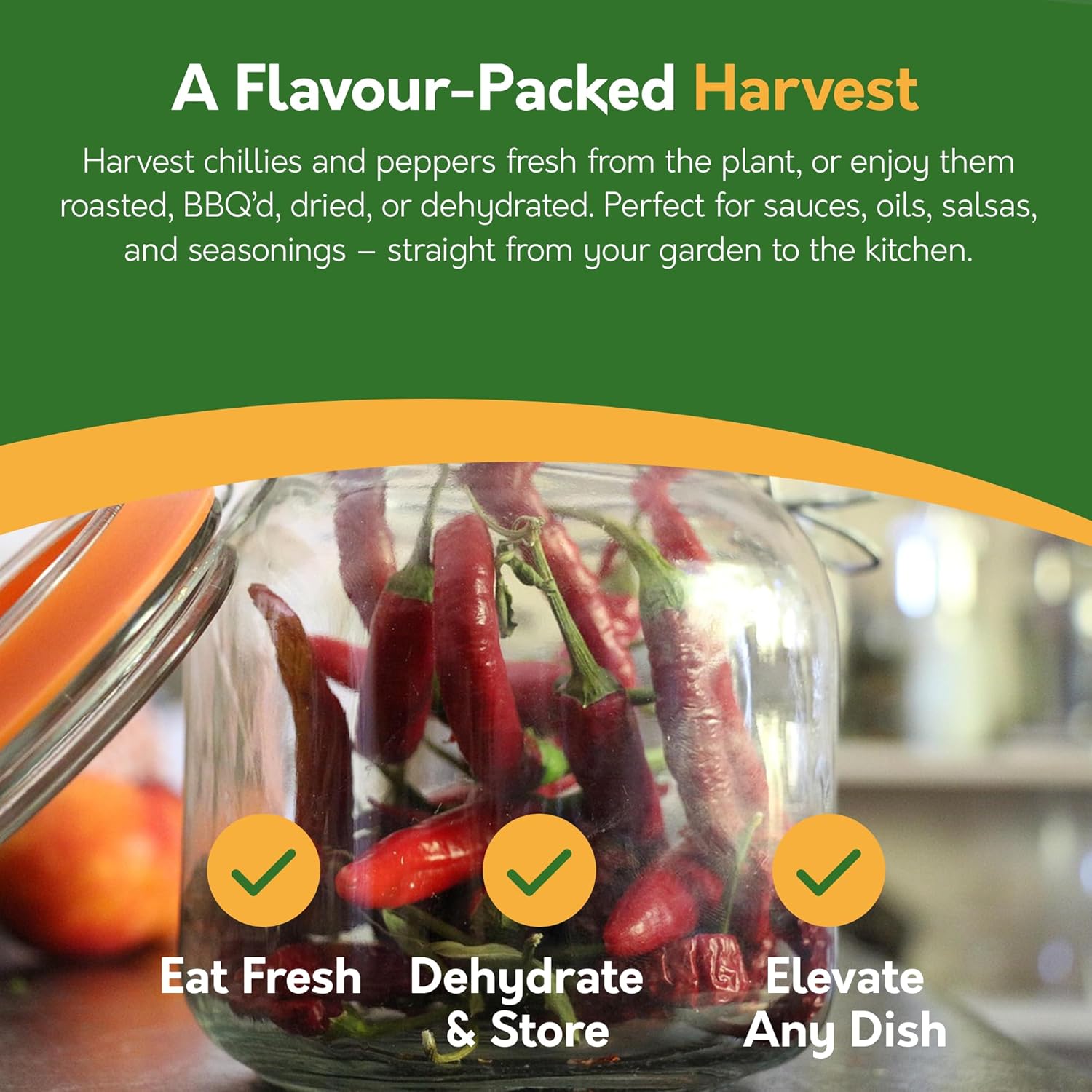 Chilli Pepper Seeds – 12 Varieties, 117+ Seeds