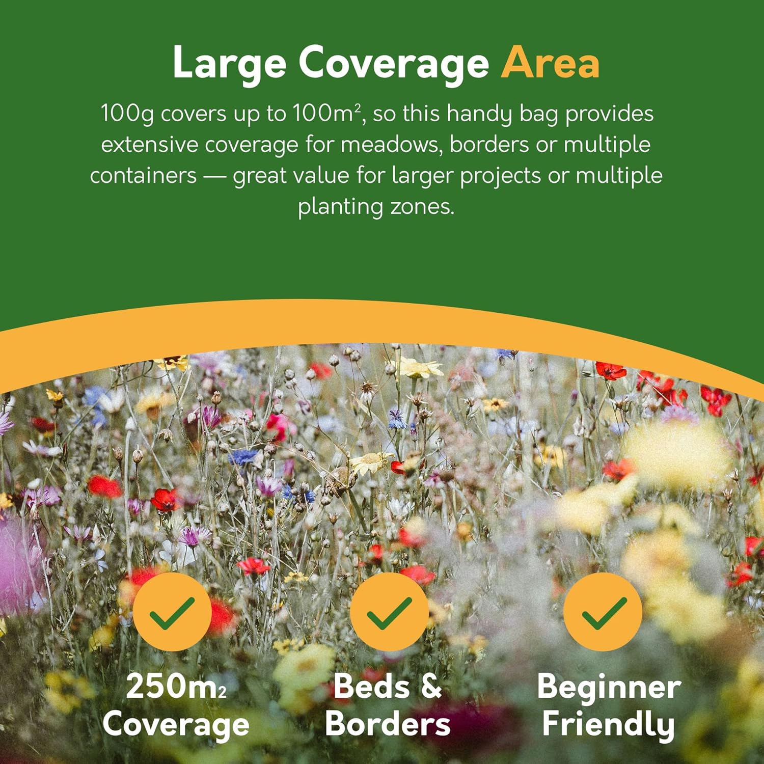 Wildflower Seed Mix – 100g | Pure UK Native Flower Seeds